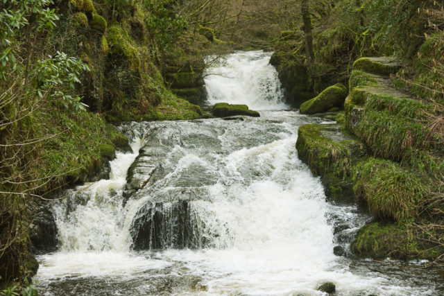 Wildlife and habitats including in Exmoor, Devon, will benefit from the £10 million 'Riverlands' project, the National Trust says (Trevor Ray Hart/National Trust/PA)