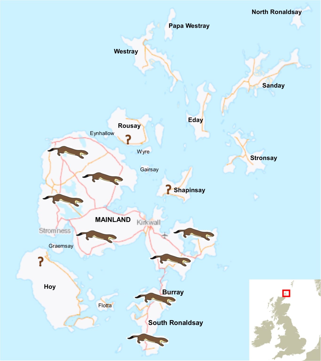 The map show the areas affected and at risk of a stoat invasion.