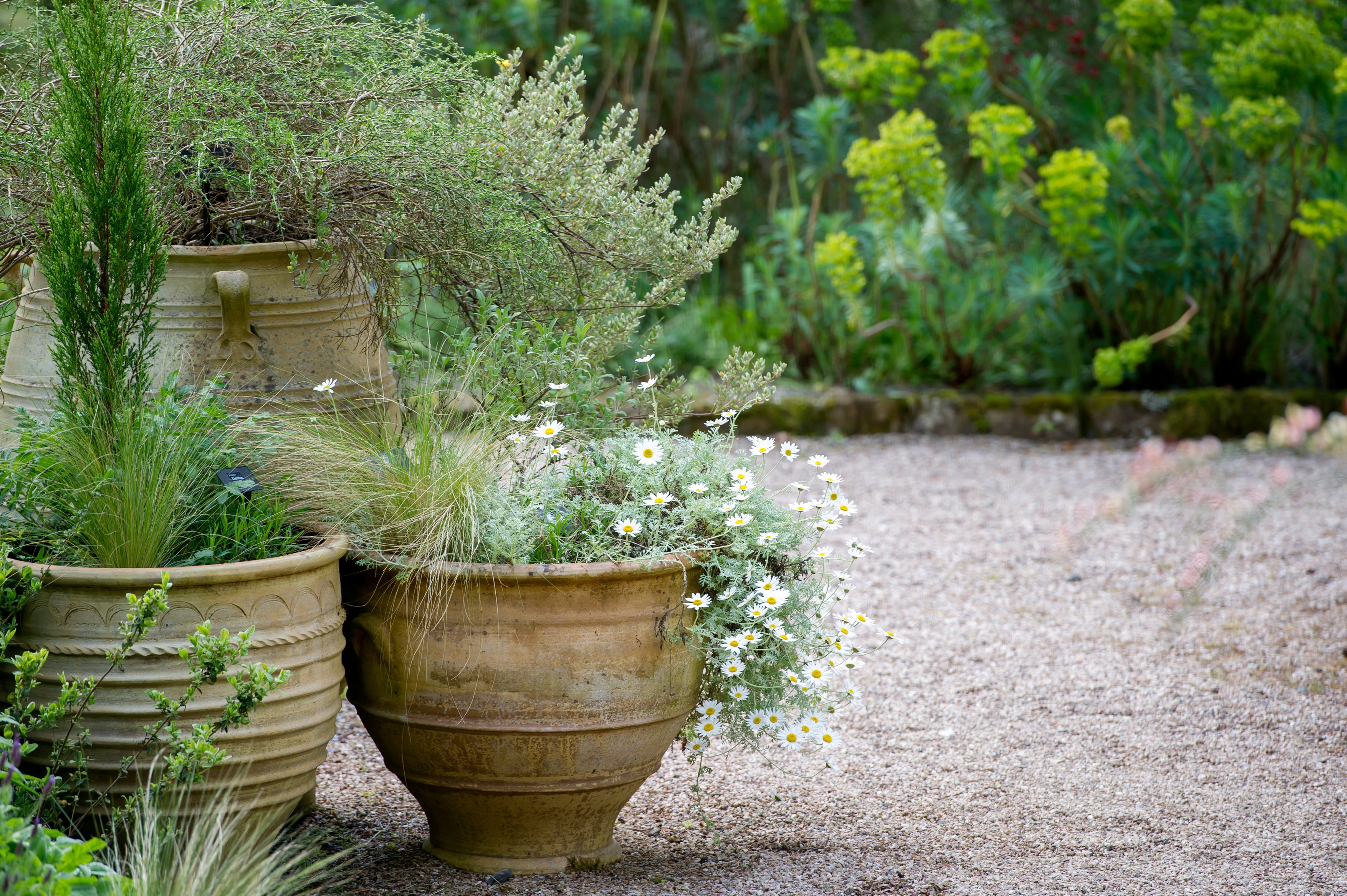 Terracotta pots (Guy Harrop/RHS/PA)