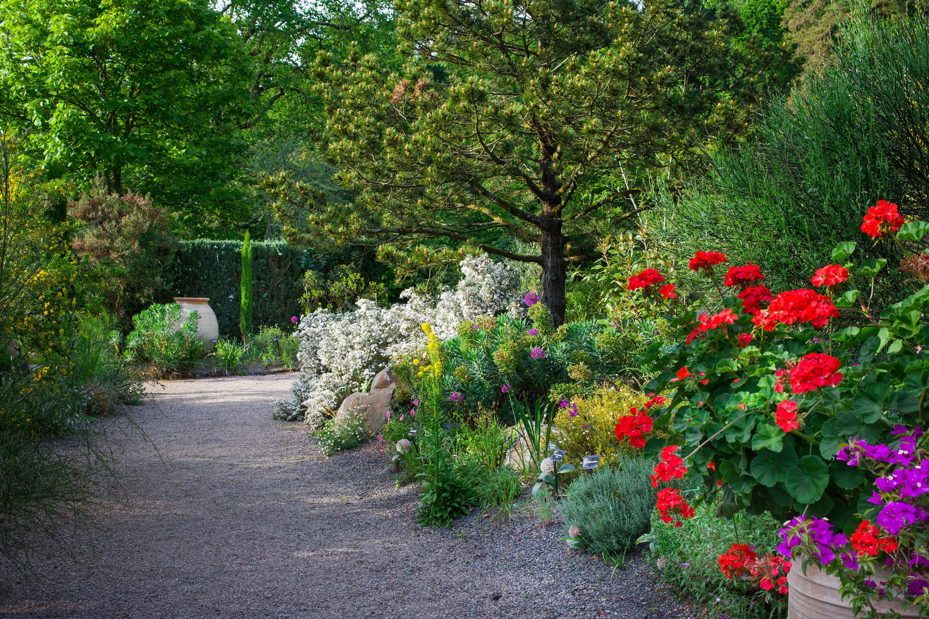 Gravel pathway (Neil Hepworth/RHS/PA)