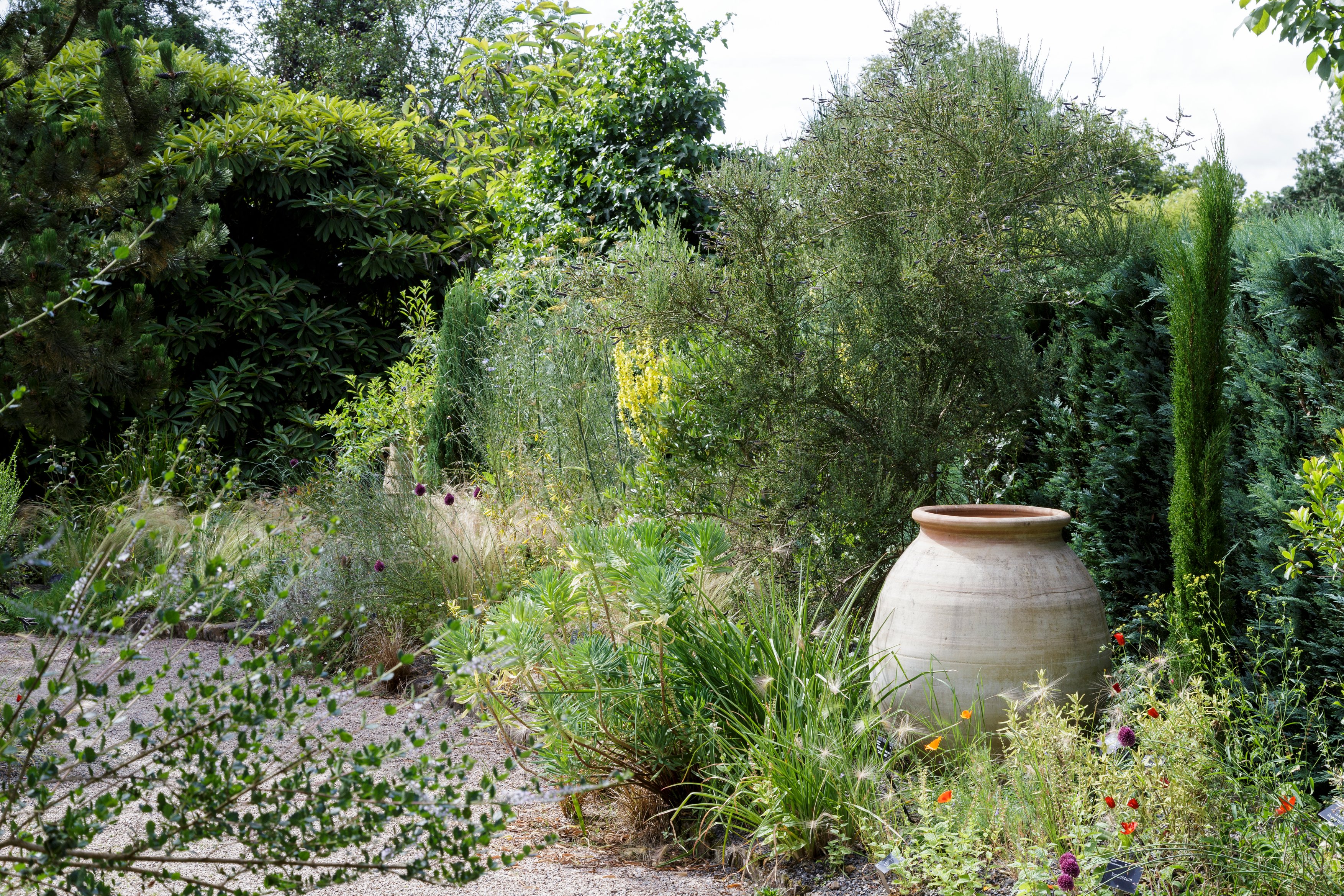 Mediterranean garden (Mark Bolton/RHS/PA)