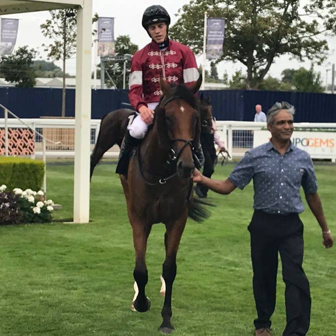 Newbury winner Hot Team is set for bigger things