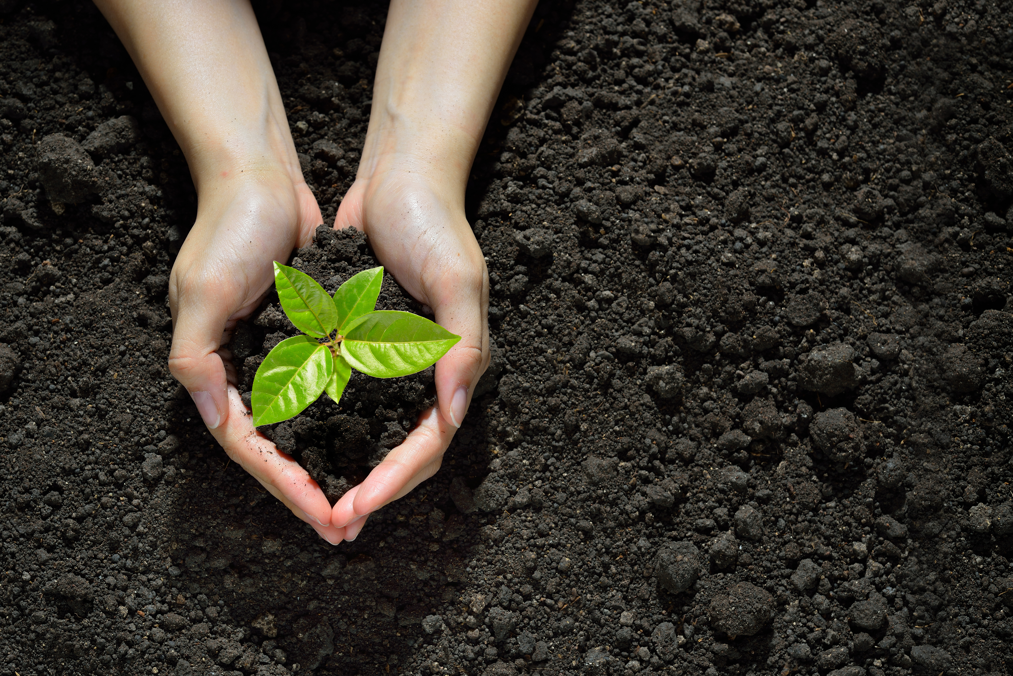 Contact with soil helps build the immune system (Thinkstock/PA)