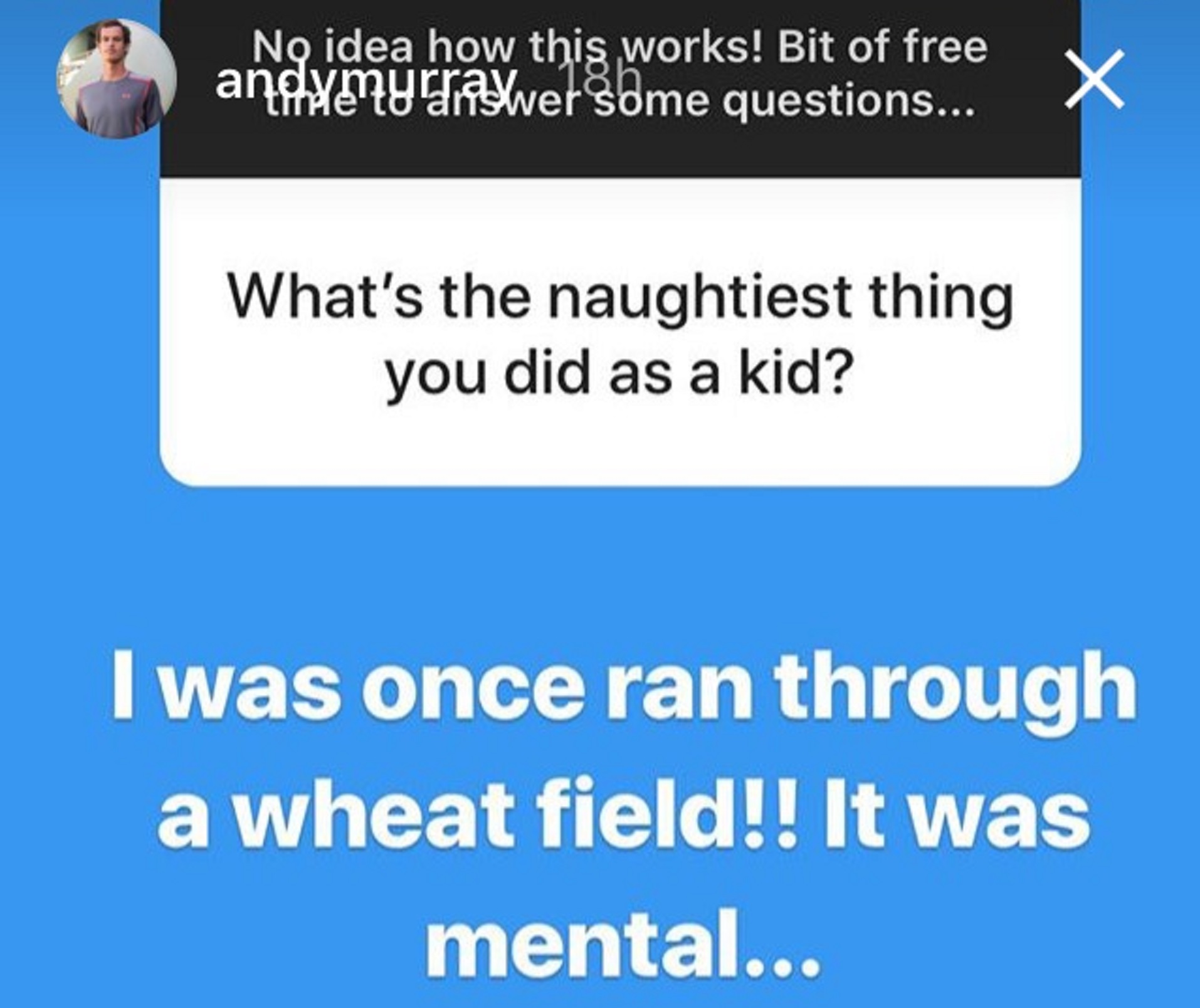Andy Murray answers questions on his Instagram Story