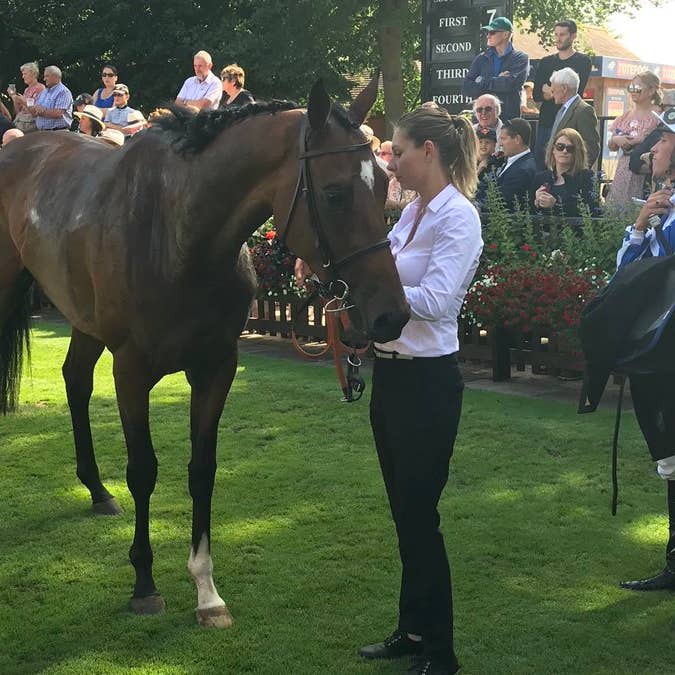 Danceteria after winning at Newmarket