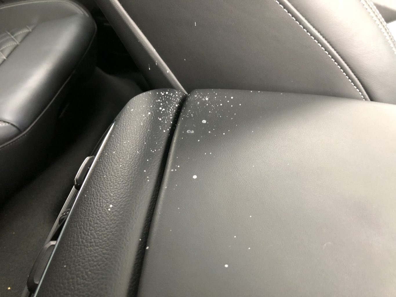 A seagull encounter proved disastrous for the car's interior