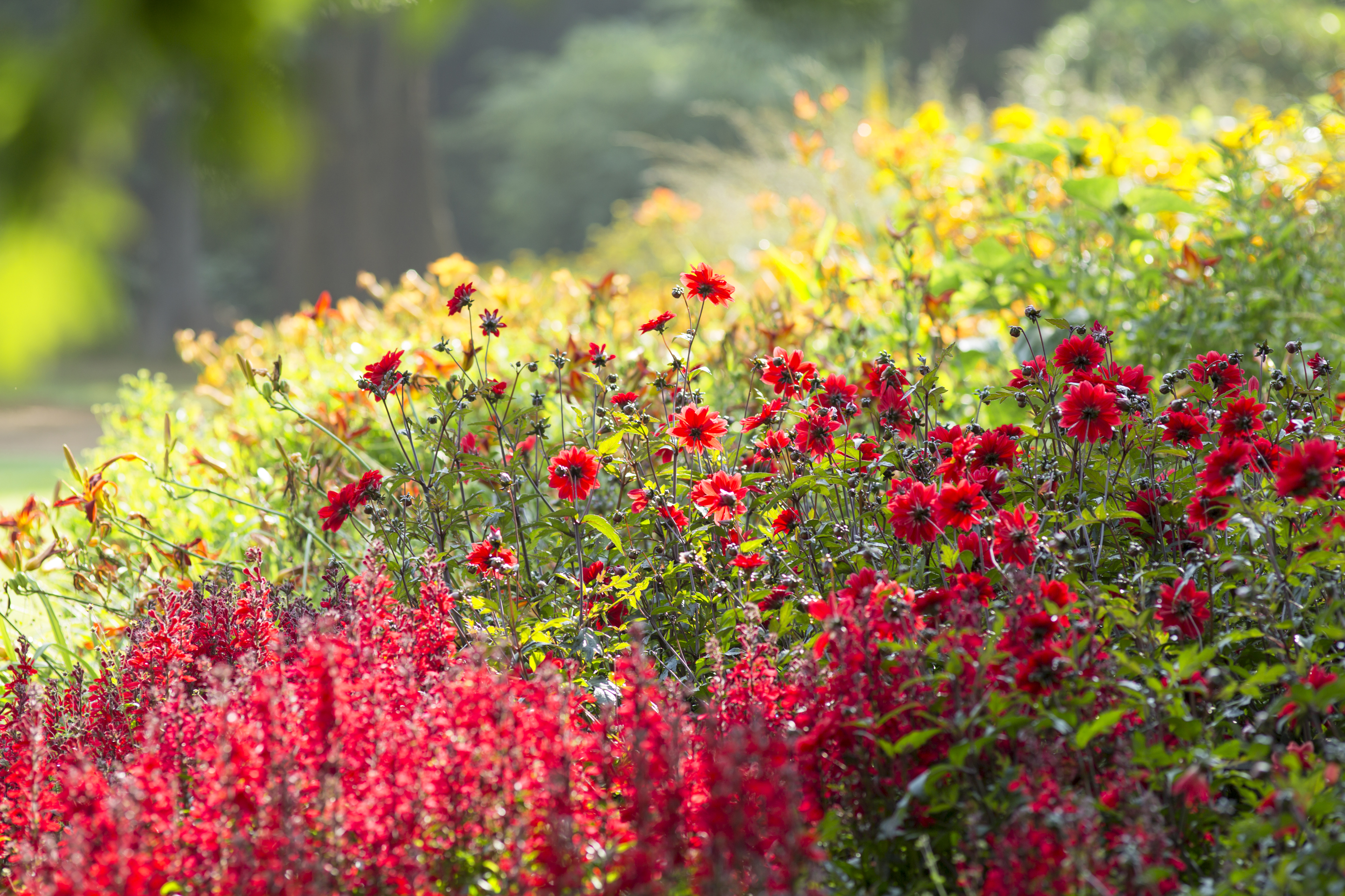 Stunning late summer colour in The Savill Garden (Warwick Sweeney/The Crown Estate/PA)