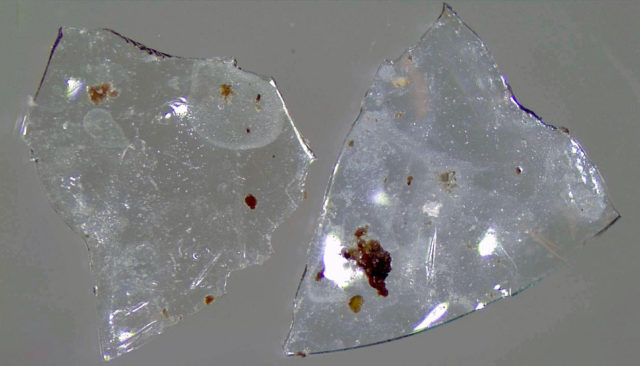 Contact lens microplastics.