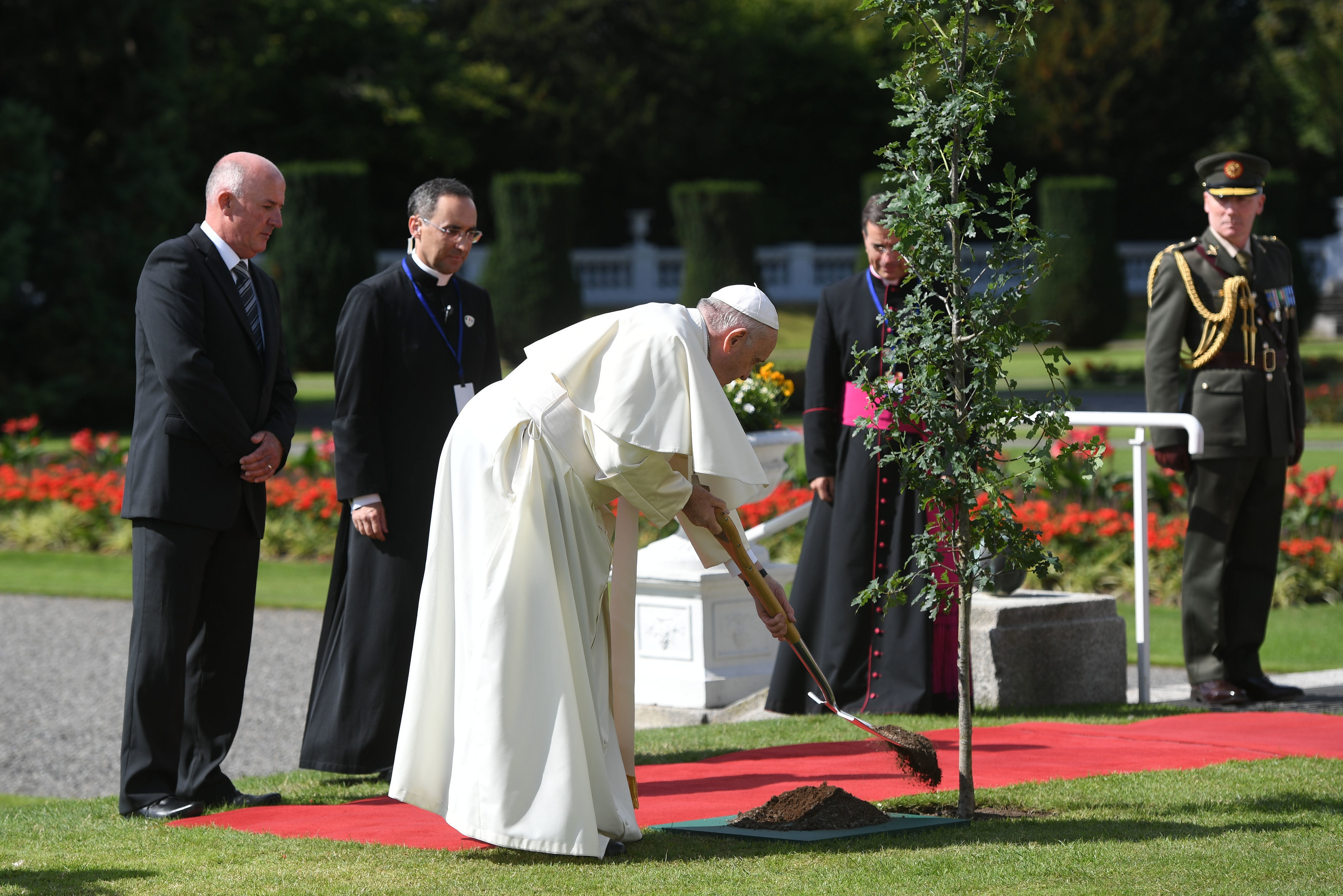 Pope Francis visit