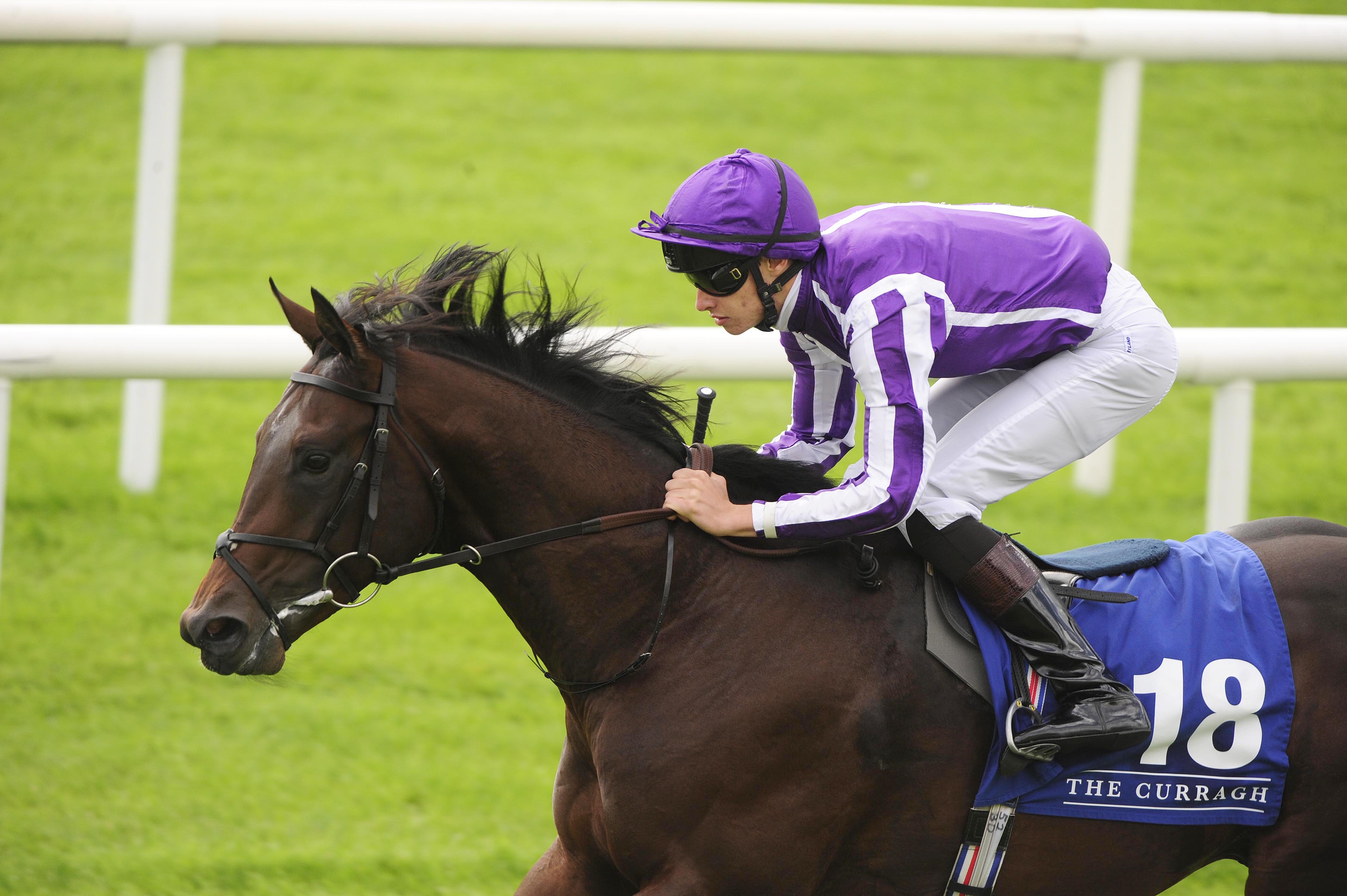 Image result for ten sovereigns