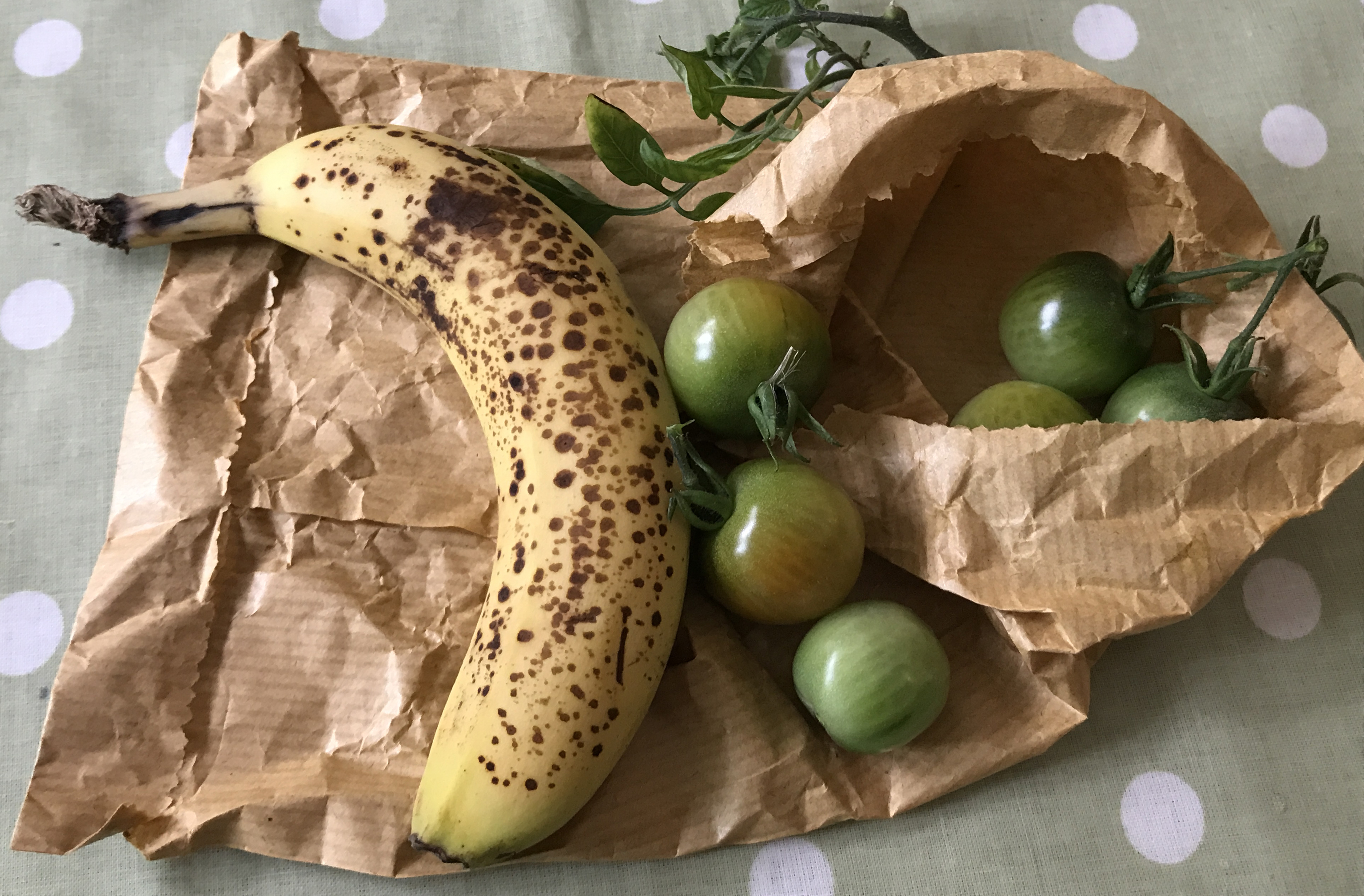 Bananas alongside a brown paper bag and green tomatoes (Hannah Stephenson/PA)