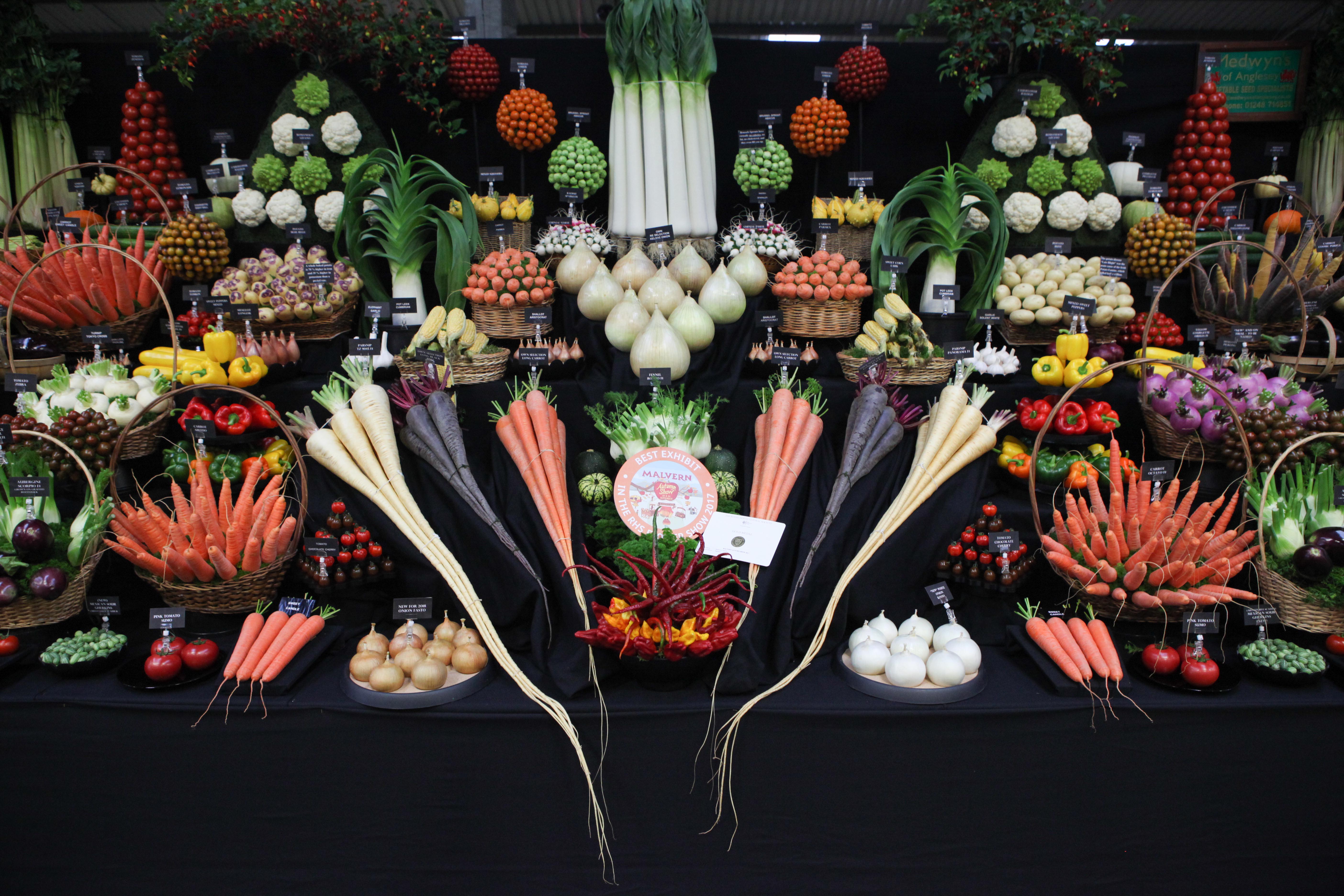 A selection of impressive vegetables (Malvern Autumn Show/PA)
