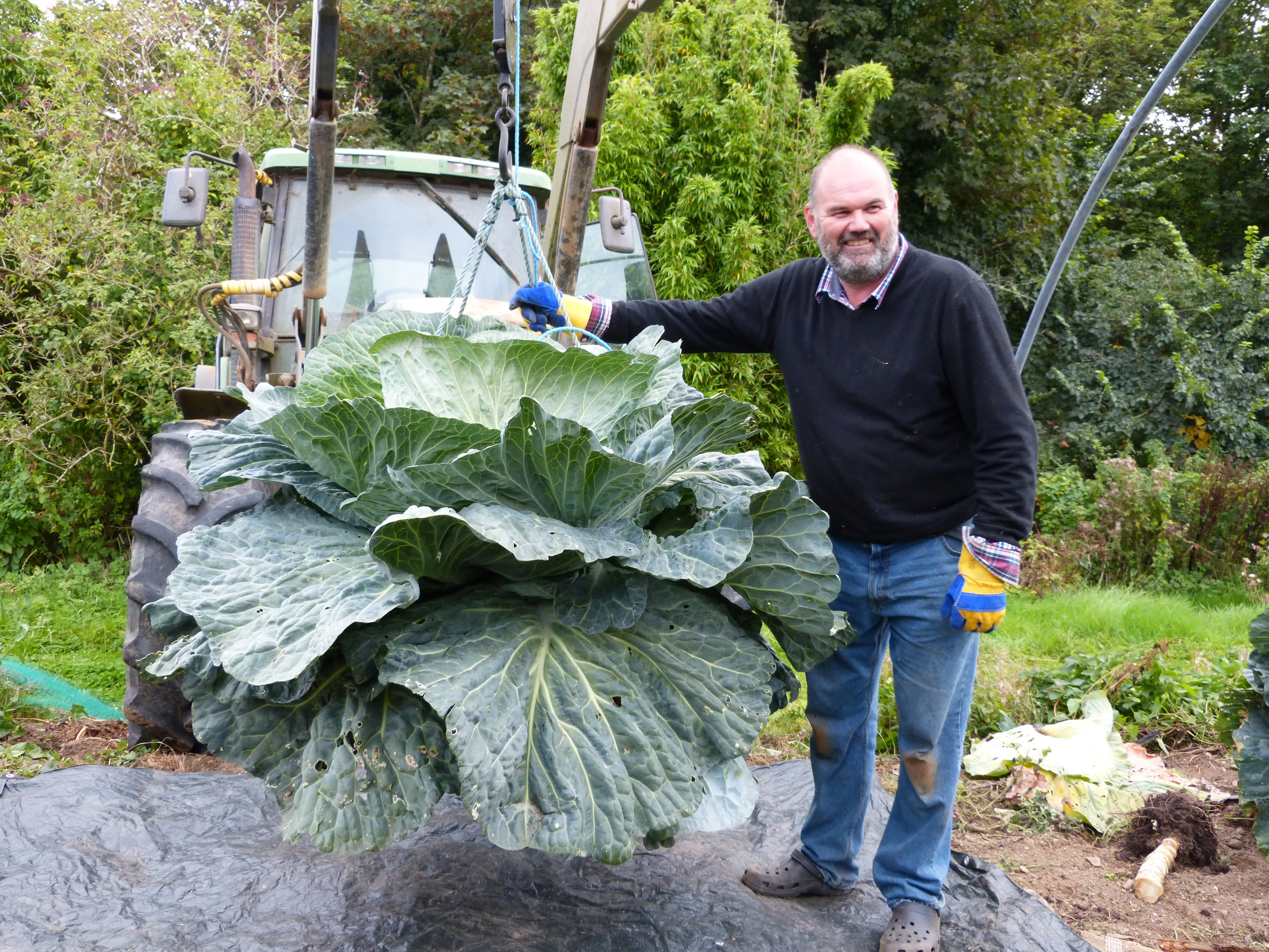 David Thomas with his cabbage on a tractor (David Thomas/PA)