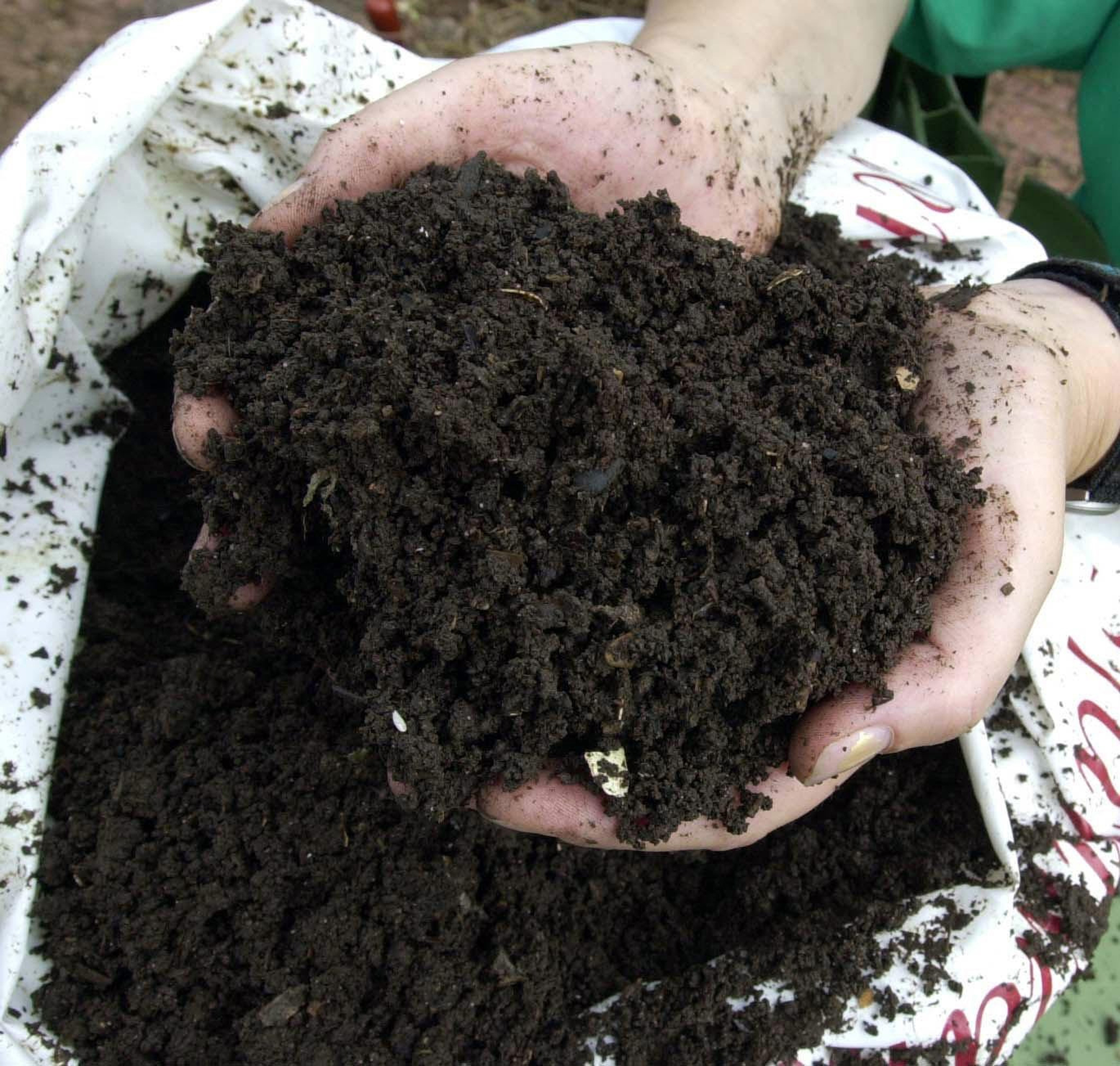 Add plenty of compost (Barry Batchelor/PA)