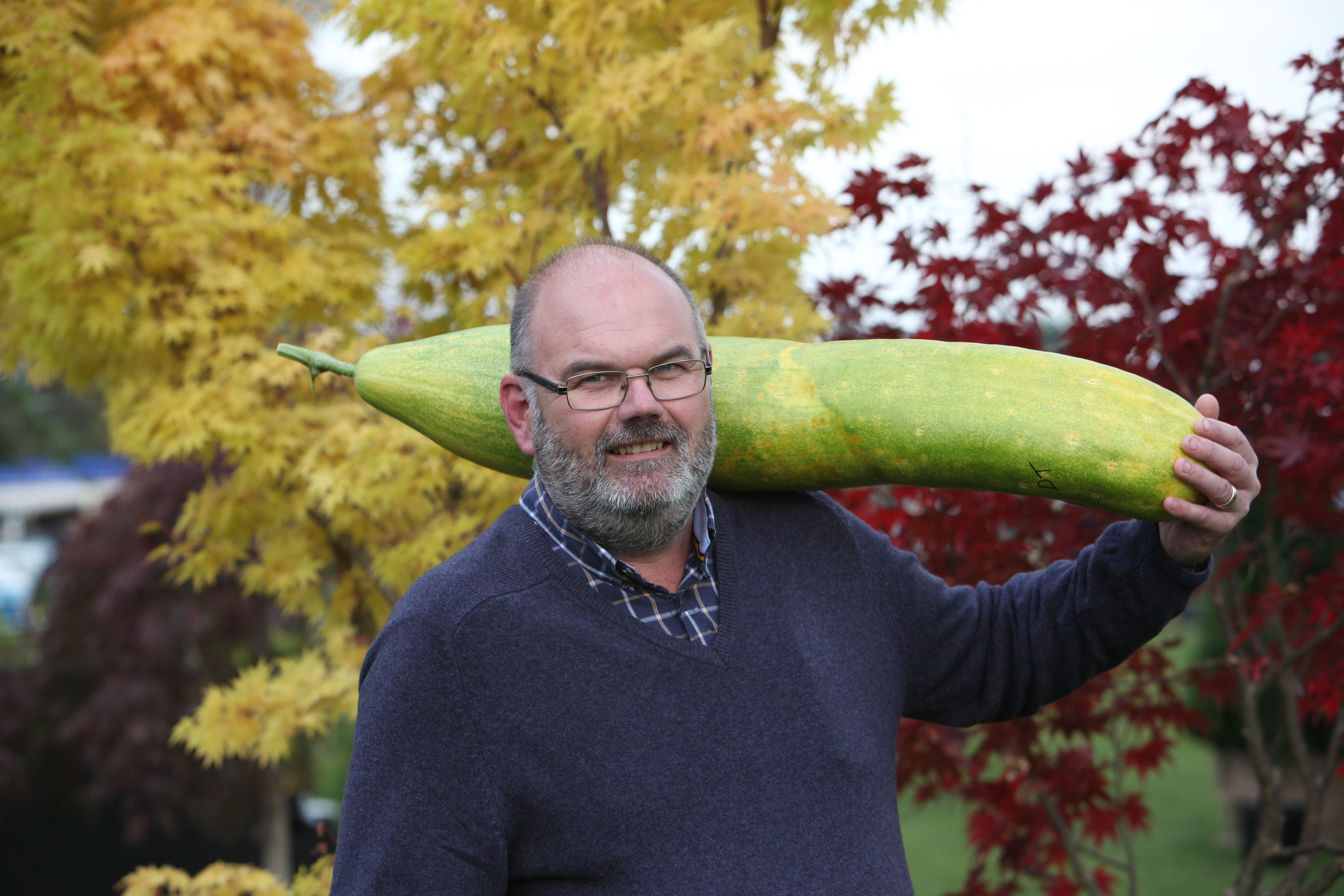 David Thomas needed extra support for his giant cucumber (Malvern Autumn Show/PA)