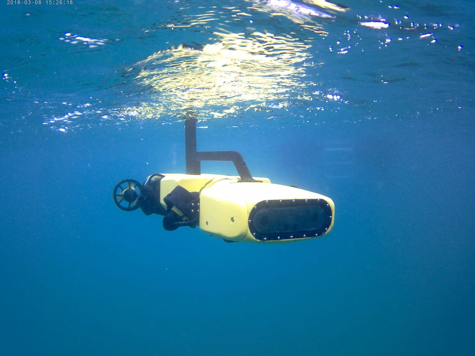 Underwater drones kill crown-of-thorns starfish to protect Great ...