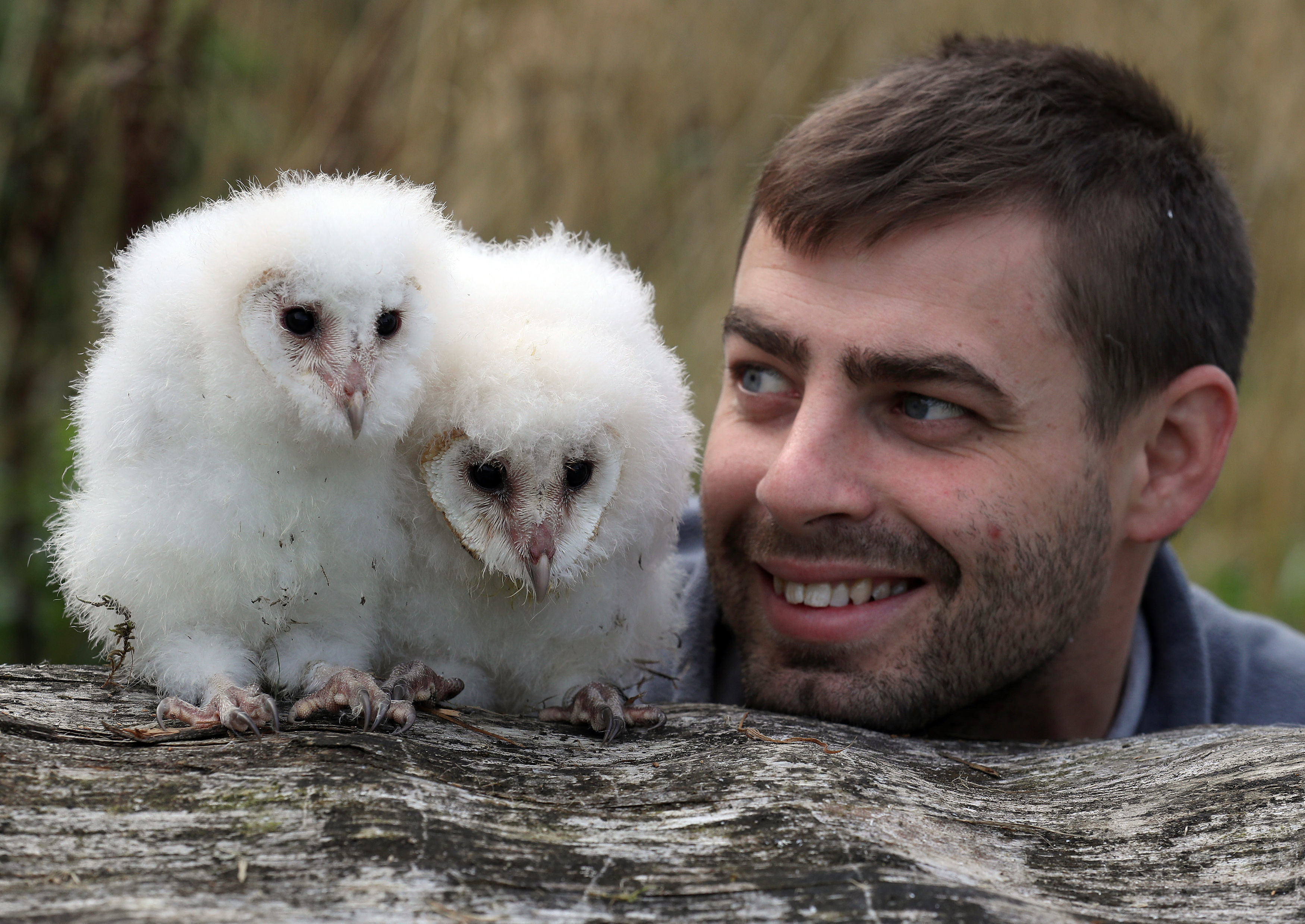 Chicks with their keeper