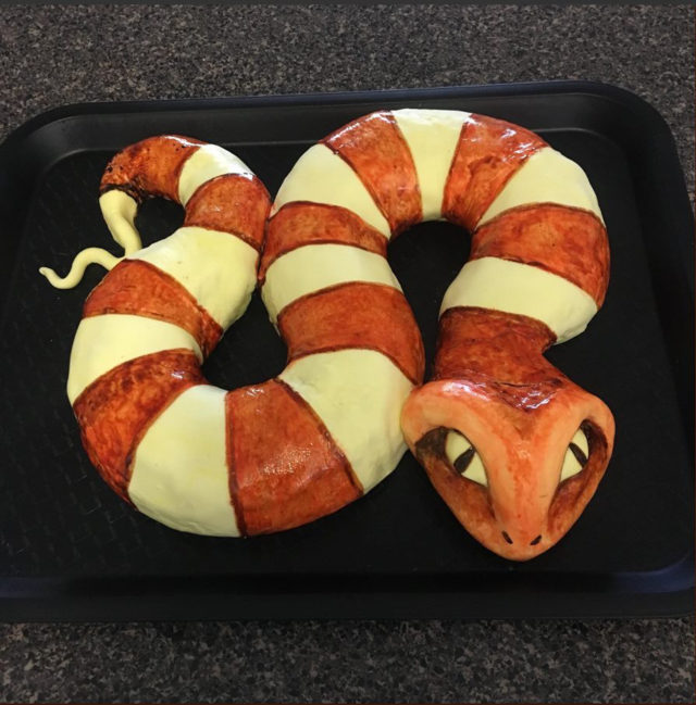 Plains Death Adder.