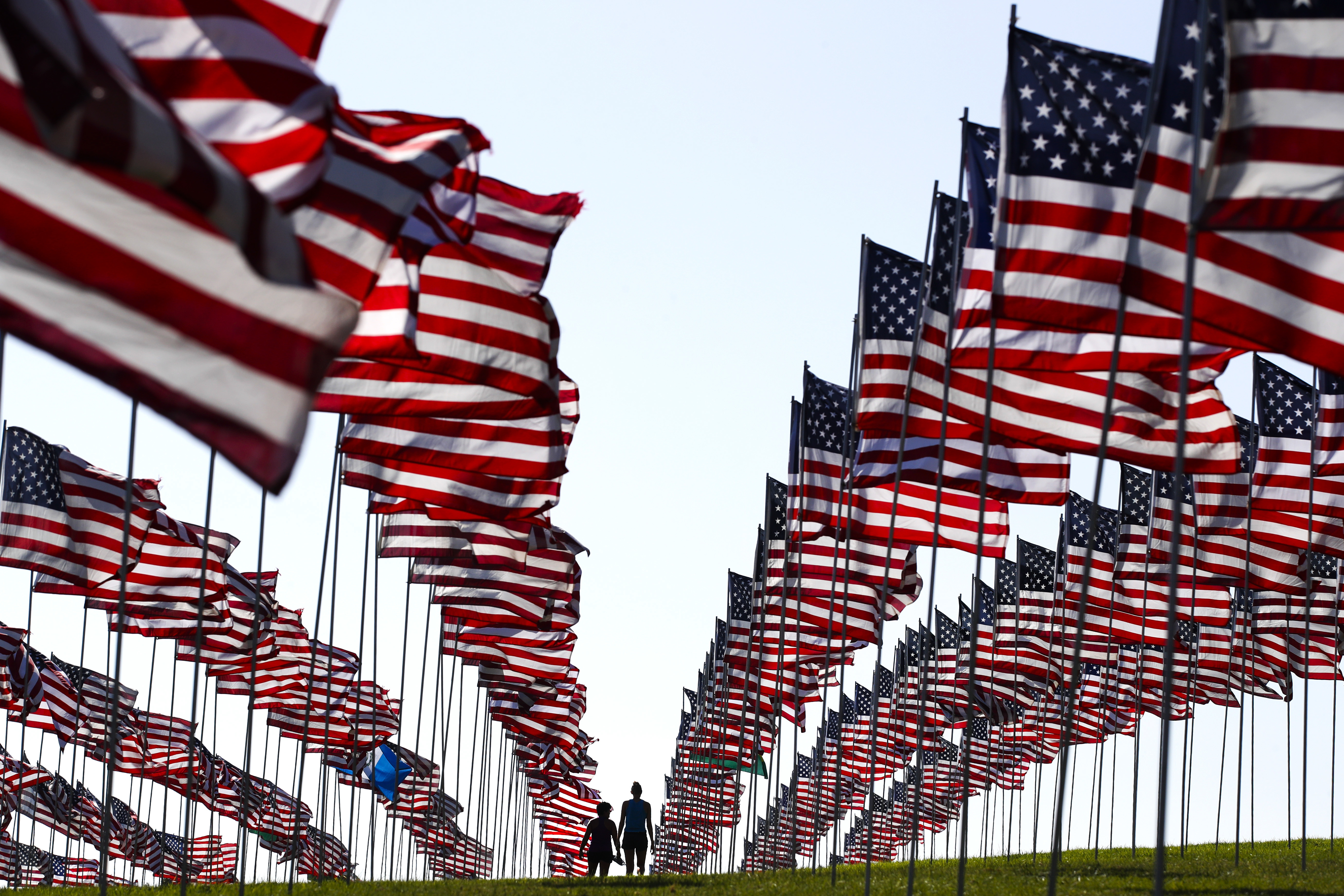 Flags display