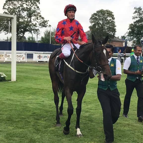 Natalie's Joy was impressive at Newbury