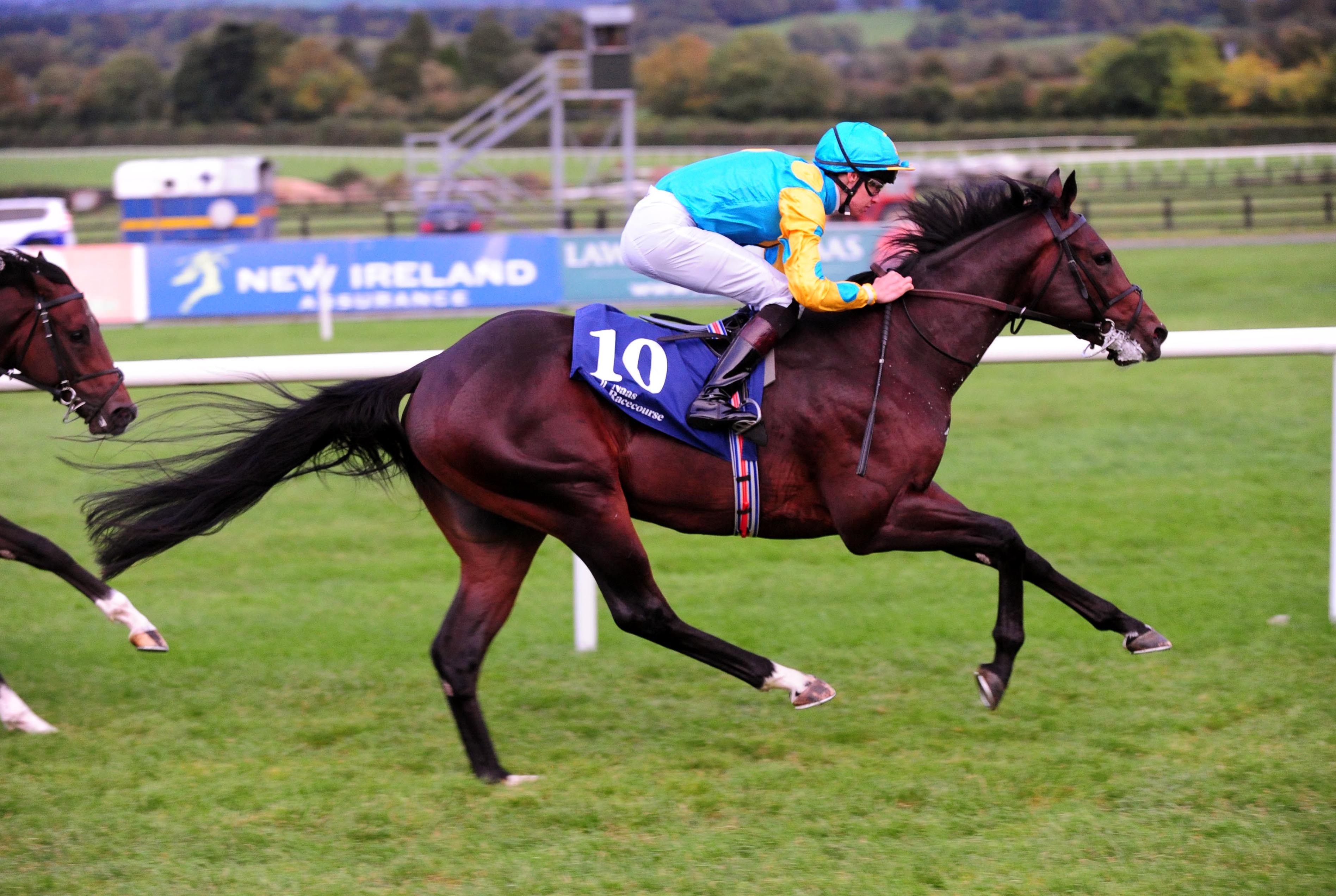 The Irish EBF Star Appeal Stakes is worth €60,000