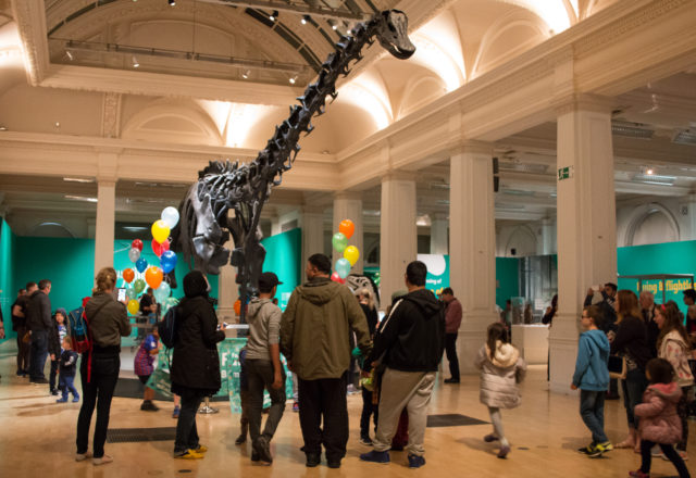 Dippy was given a farewell party after his successful stay in Birmingham (Trustees of the Natural History Museum/PA)