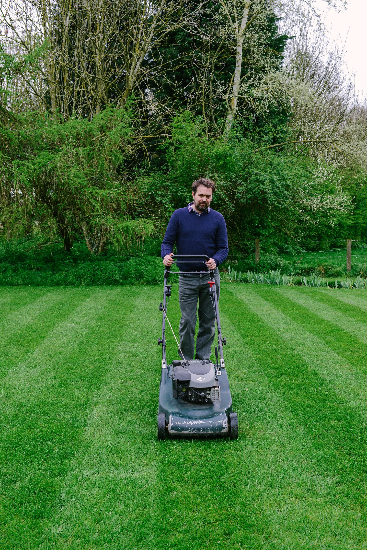 Mow less frequently and set blades higher (David Hedges-Gower/PA)