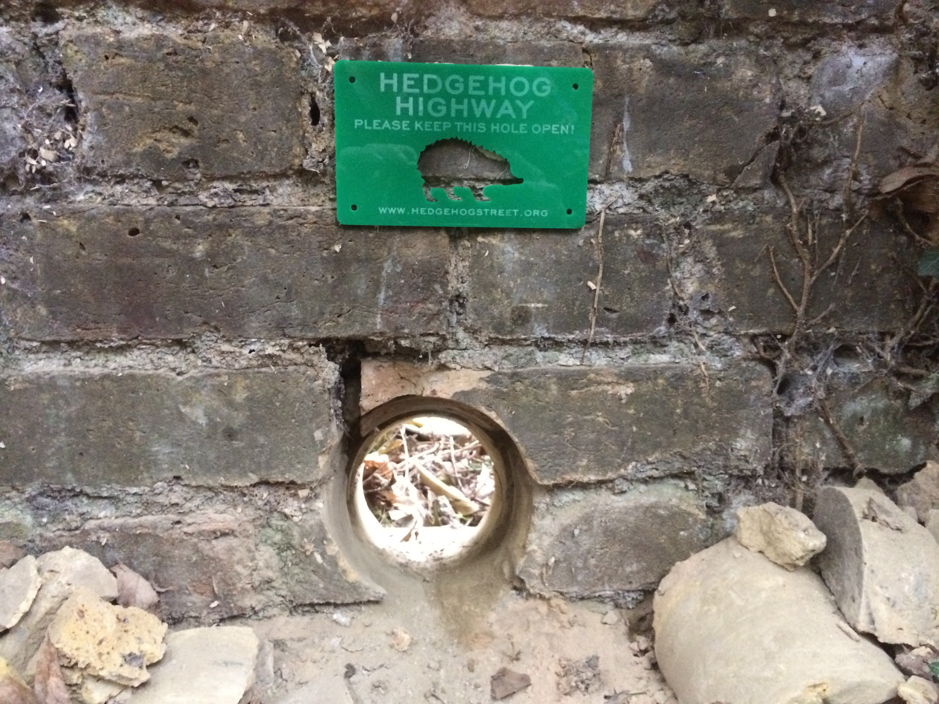 a hole in a wall forming a hedgehog highway (Henry Johnson/PA)