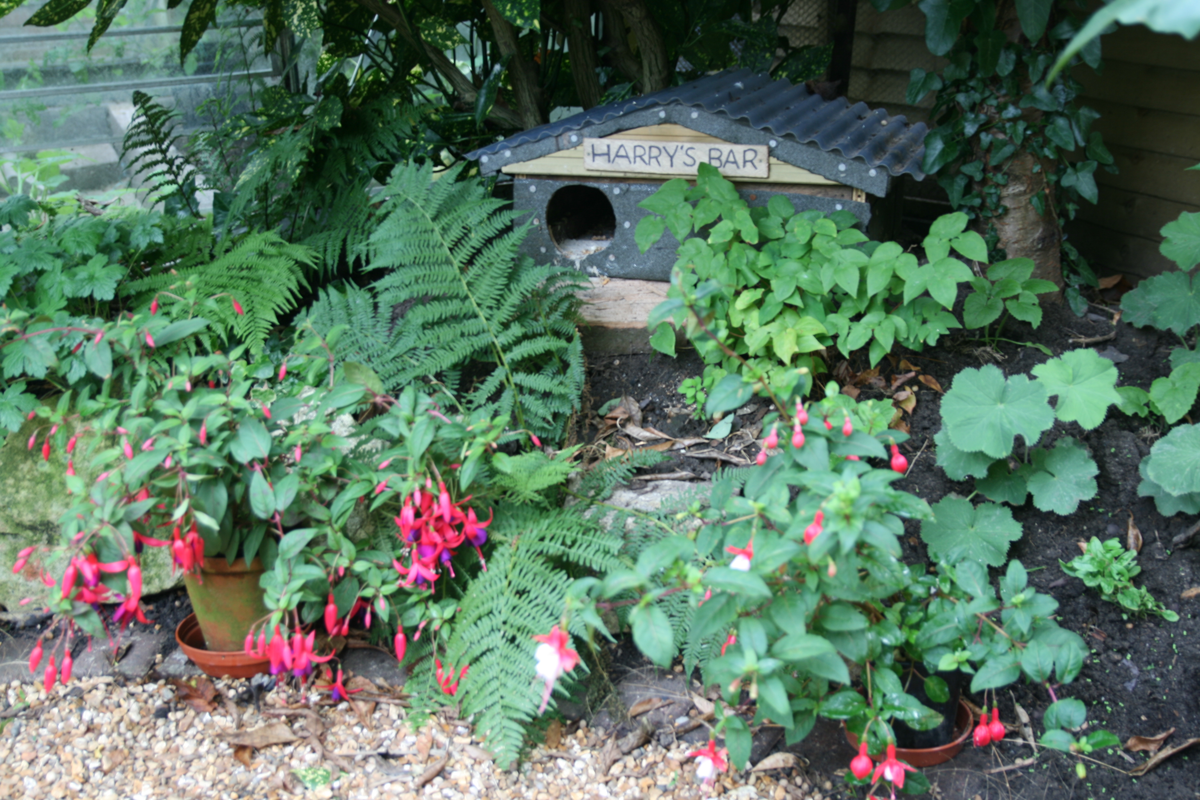 A sheltered nesting place for a hedgehog (Steve Burke/PA)