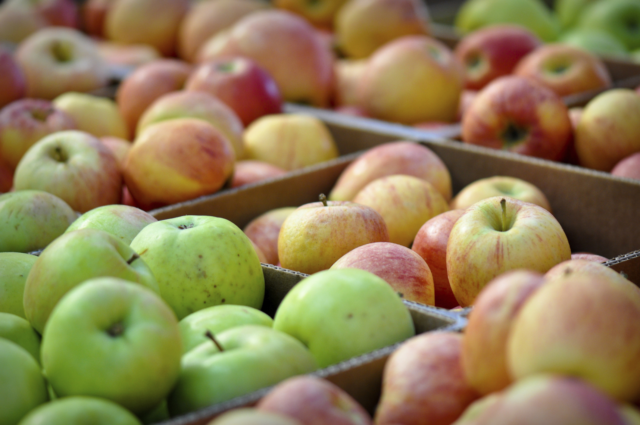Store apples in wooden crates (Thinkstock/PA)