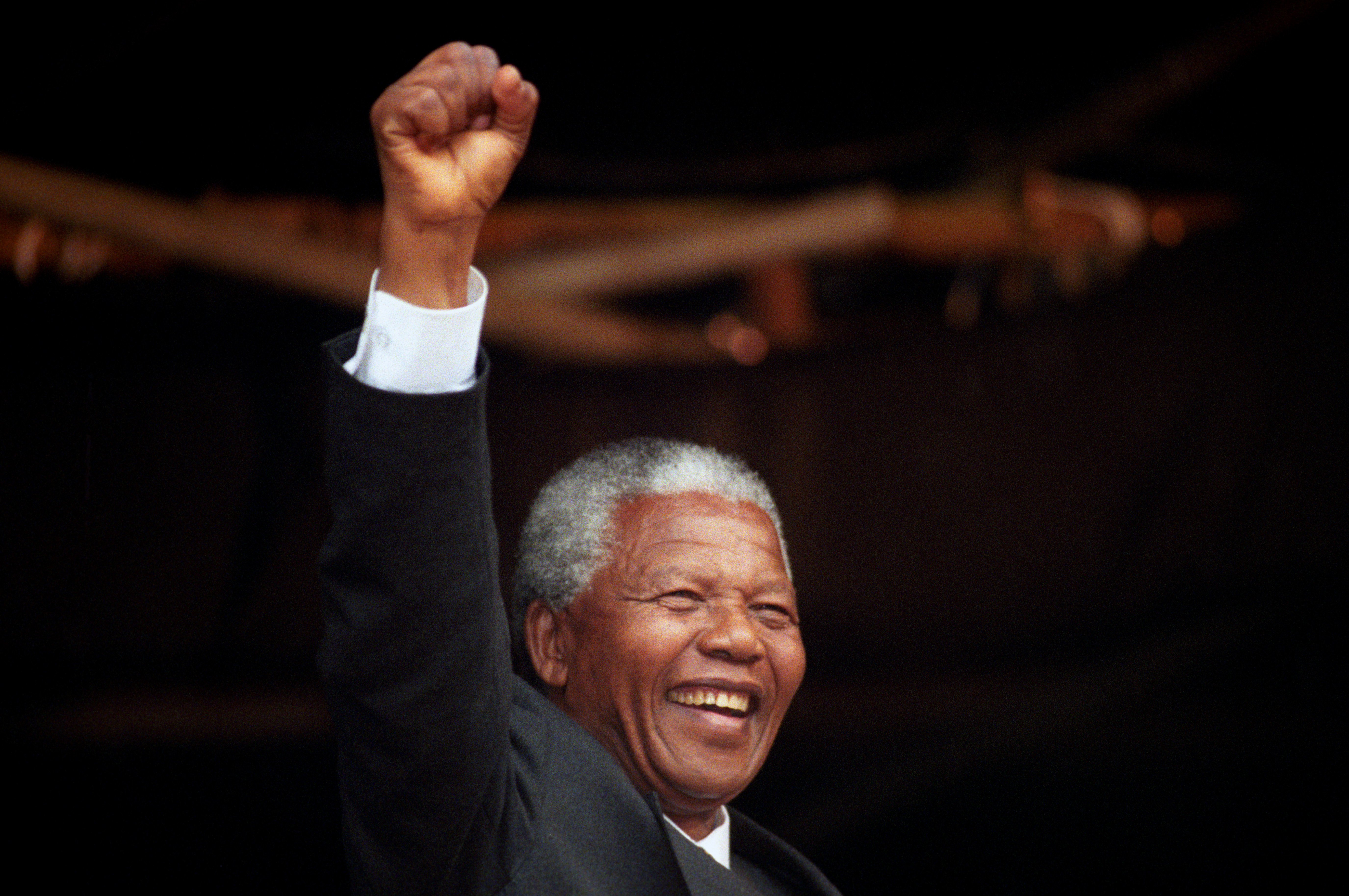 Nelson Mandela in 1993 