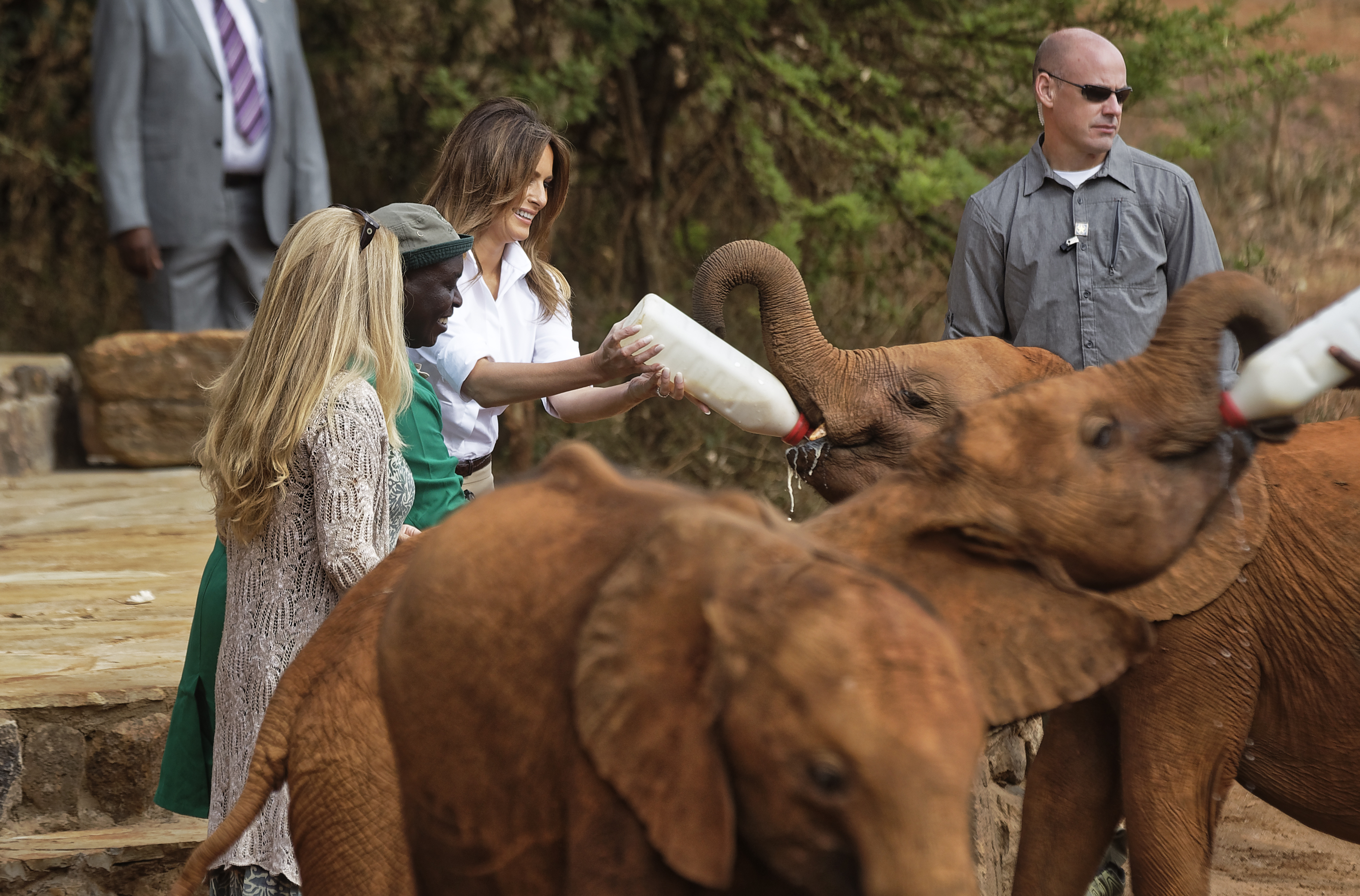 US first lady Melania Trump feeds a baby elephant milk with a bottle at the David Sheldrick Wildlife Trust elephant orphanage in Nairobi 