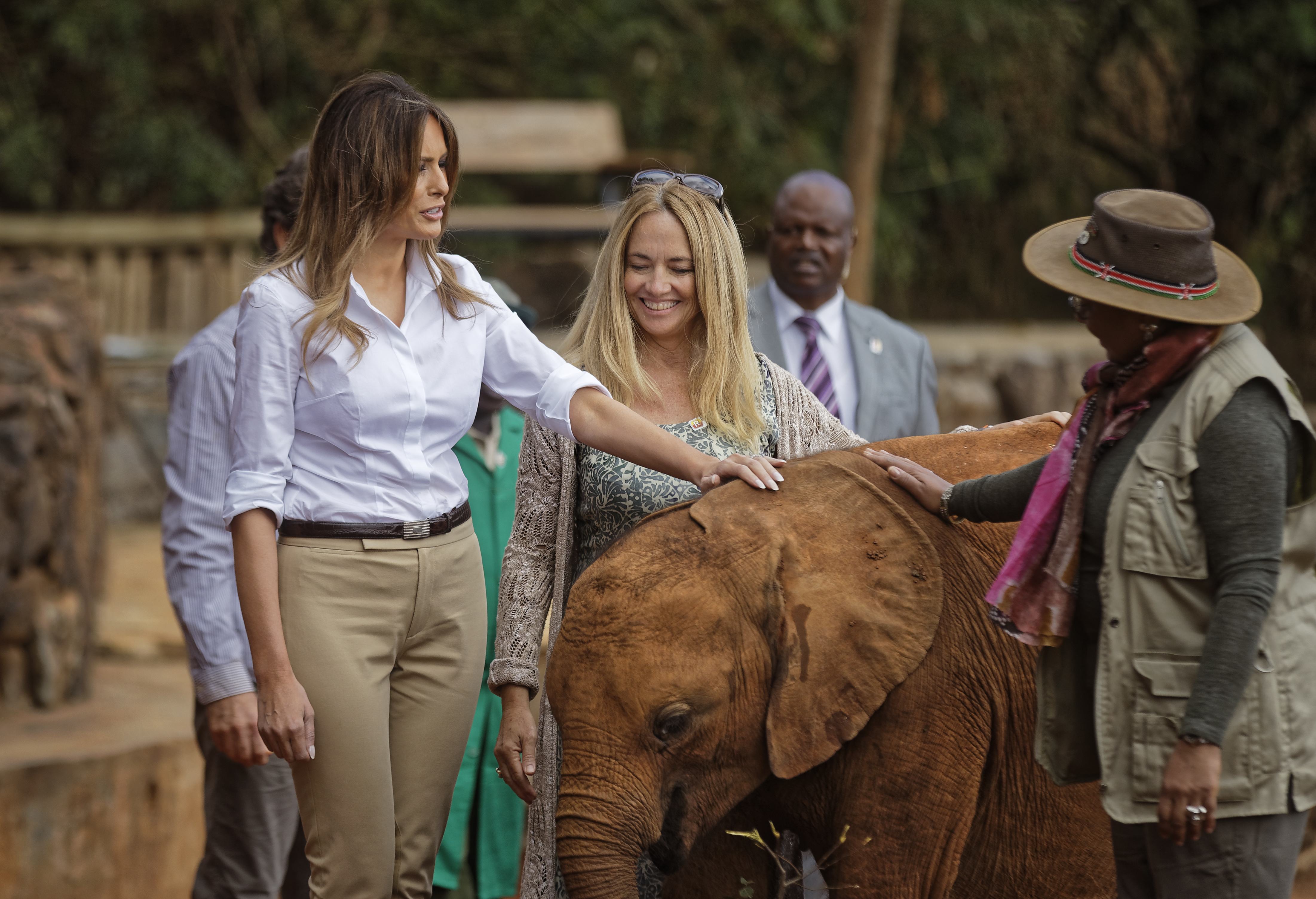 Melania Trump pets a baby elephant in Kenya