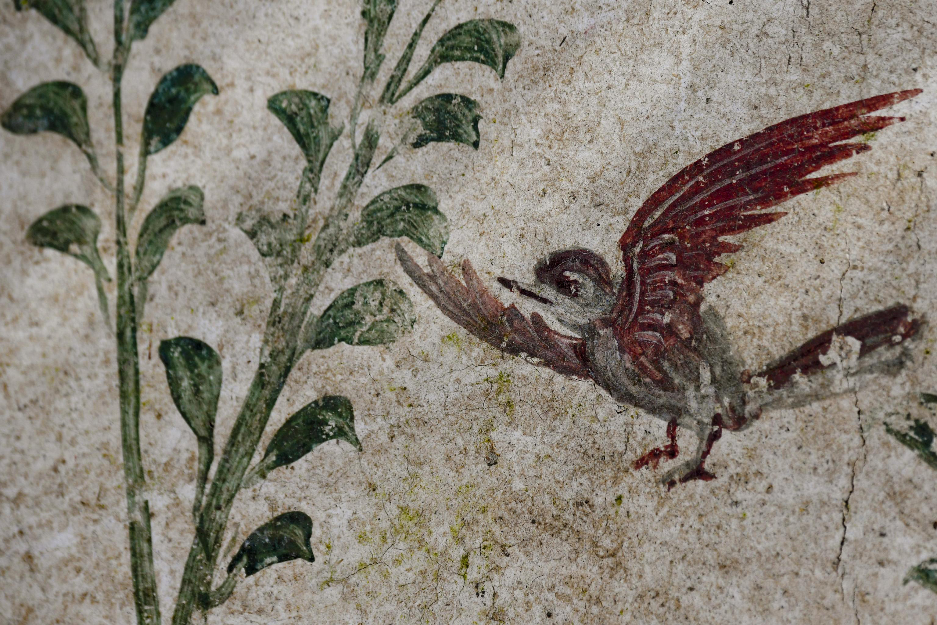 A fresco of a bird 