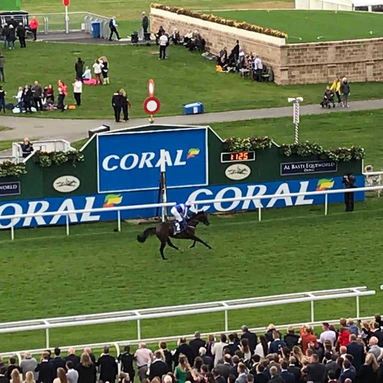 Vintage Brut winning the coral.co.uk Rockingham Stakes at York (Nick Grant/PA)