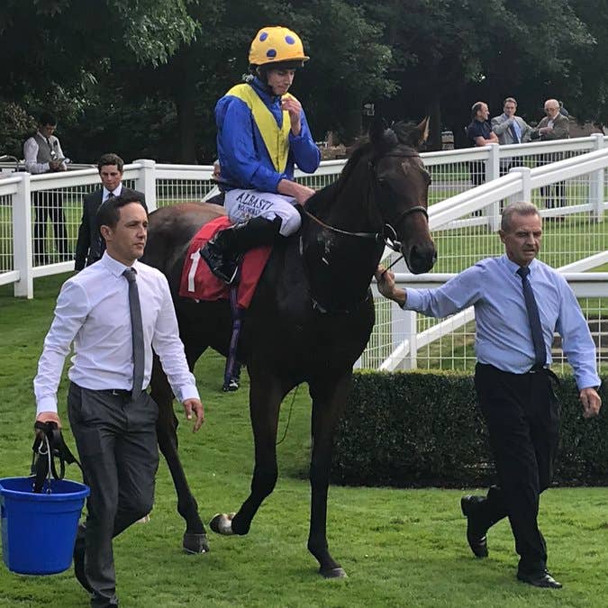 Almania looked a smart prospect in winning at Sandown