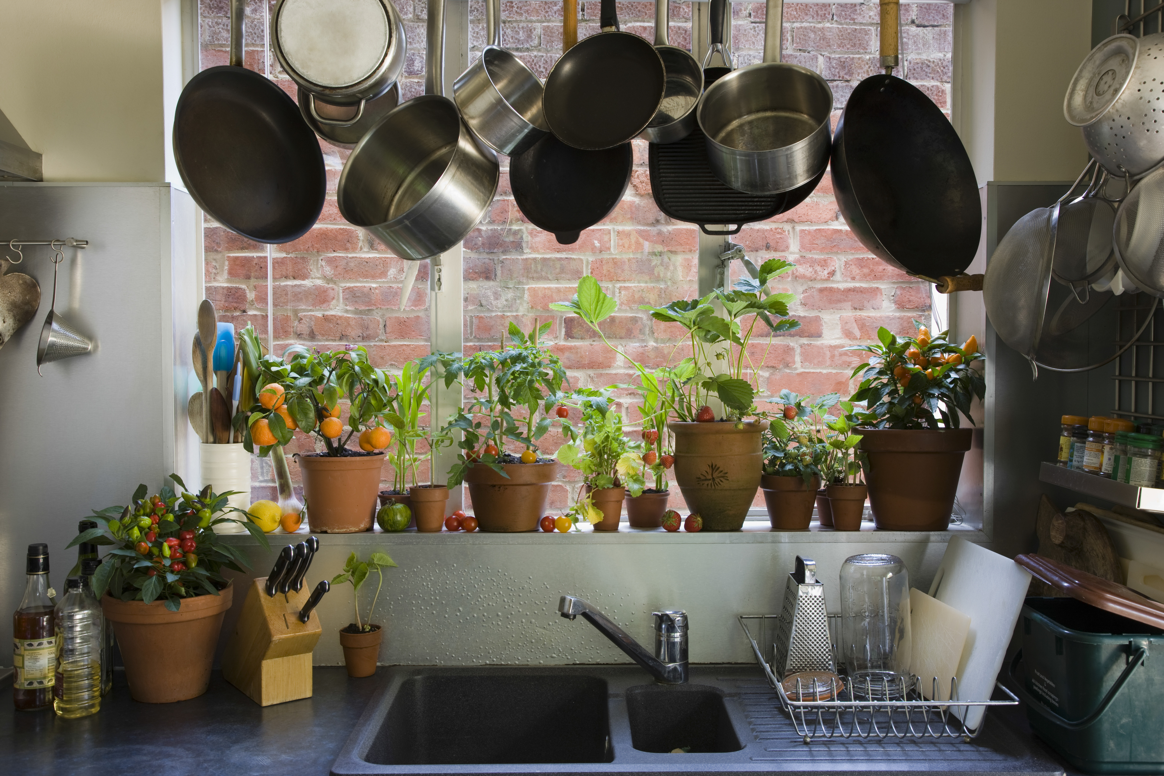 Houseplants can absorb nasty kitchen smells (Thinkstock/PA)