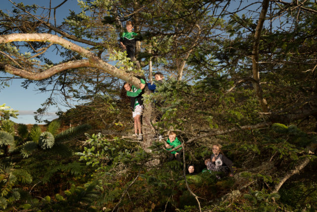 Netty's Tree on Eriskay won the Scottish competition (WTML/John Maher/PA)