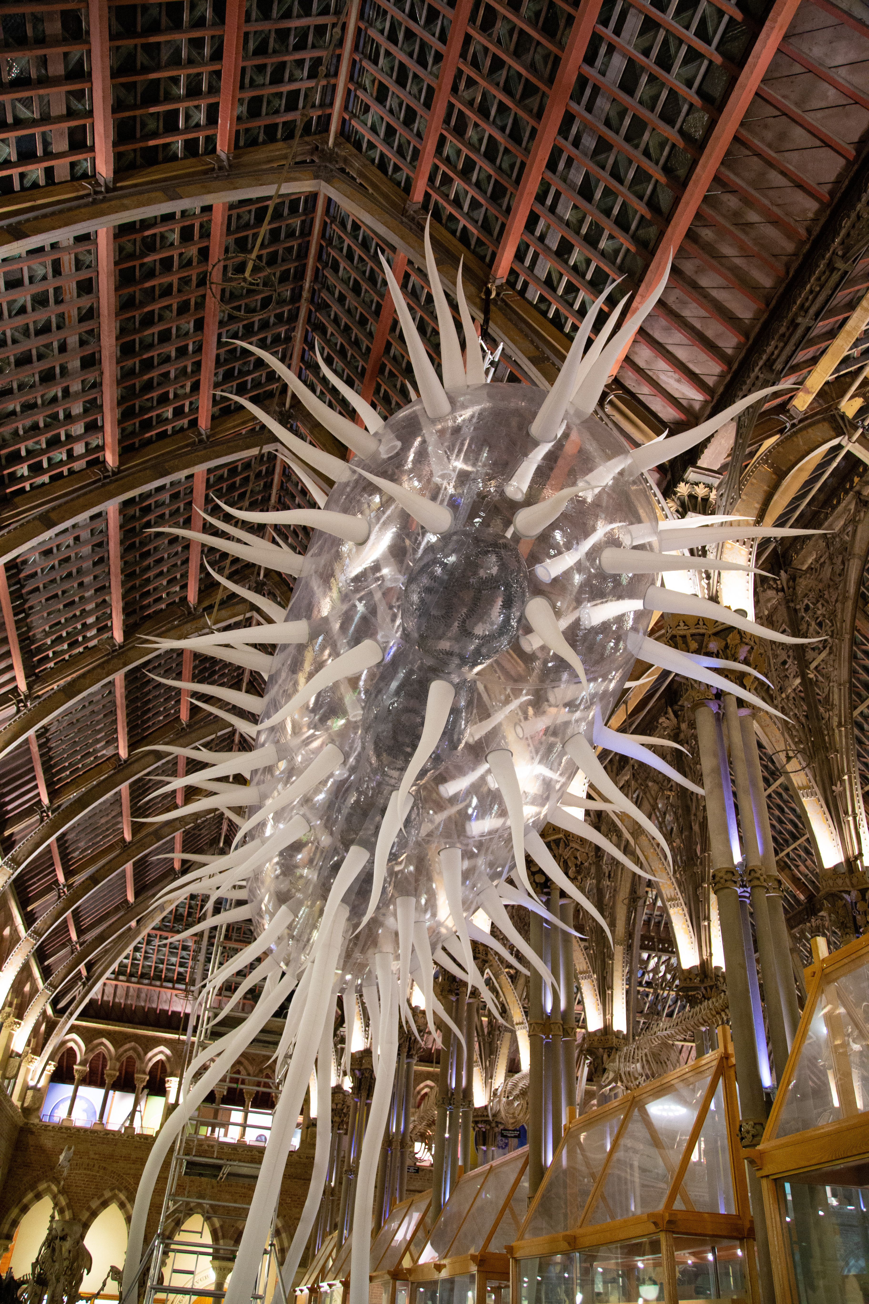 A giant sculpture of E.coli is installed in the museum 