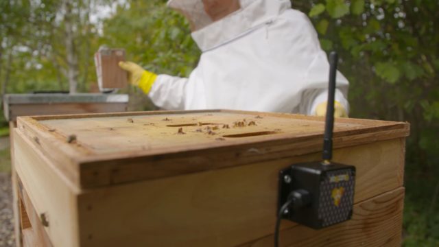 Connected beehives