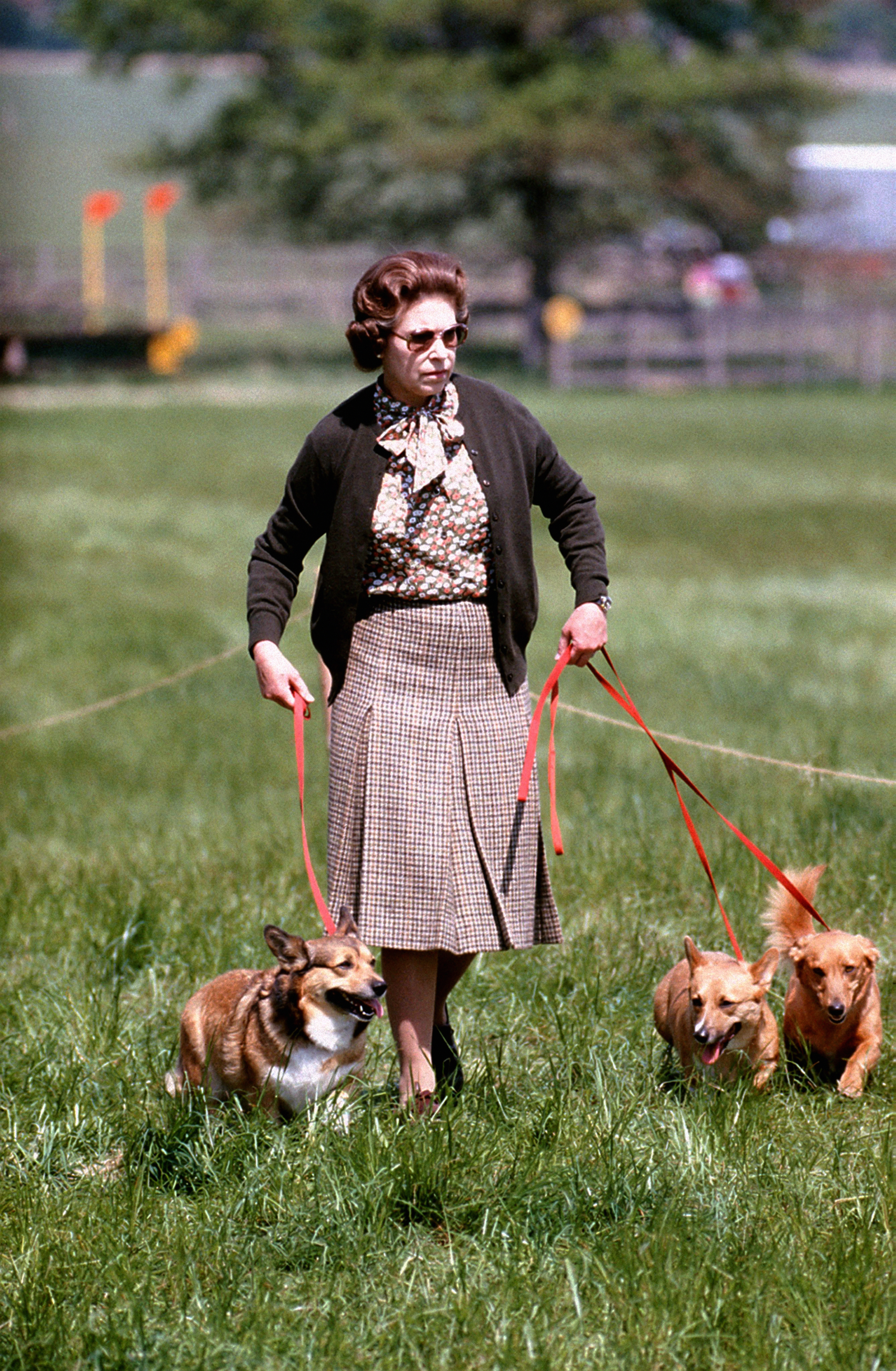 The Queen with her dogs