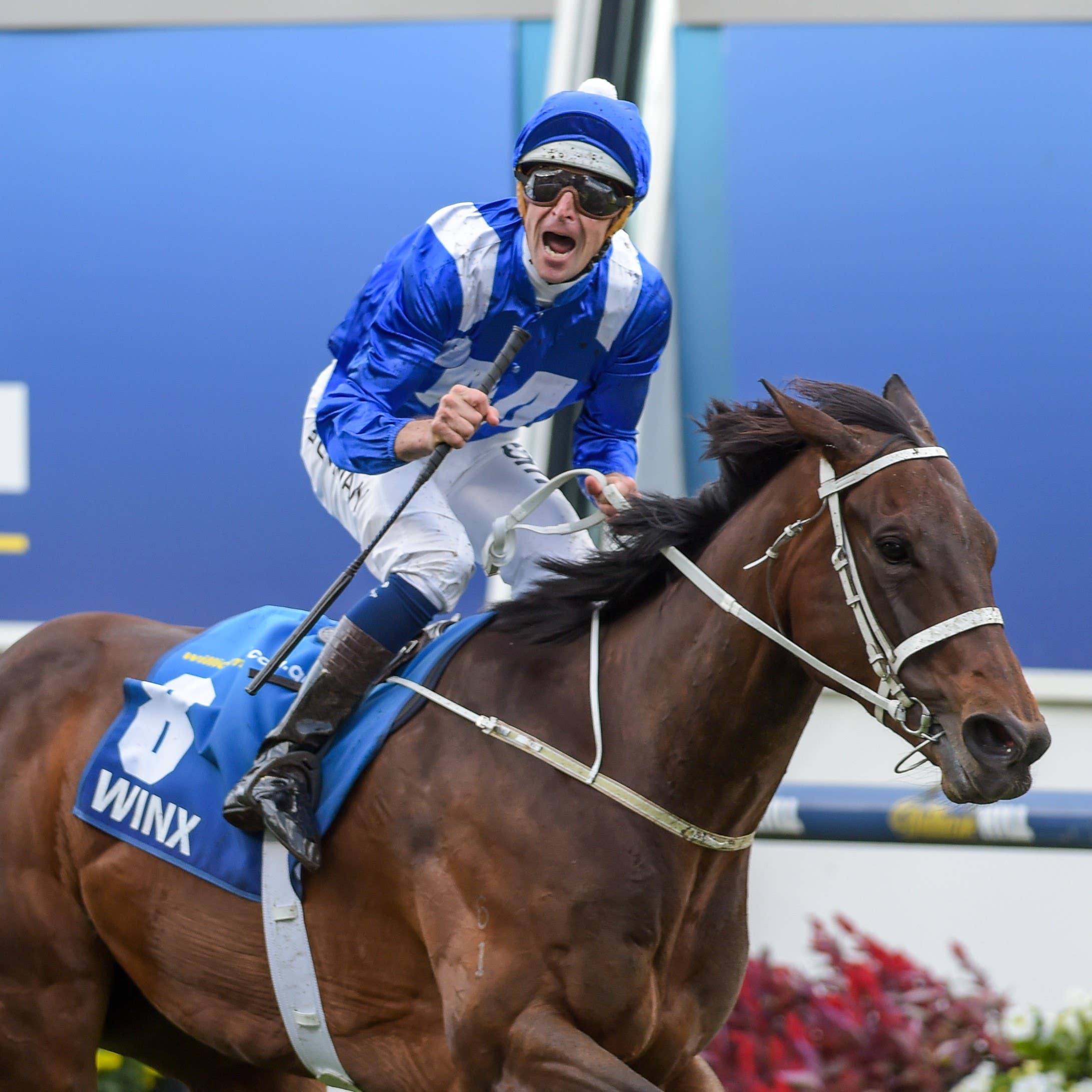 Winx is on course to return next weekend