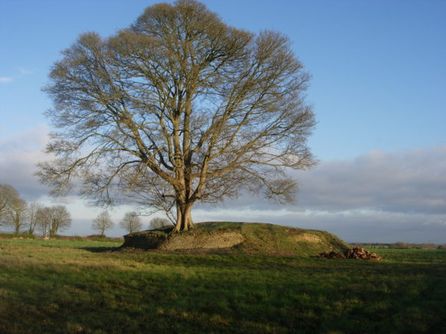 Asthall Barrow has been saved from overgrowth and rabbits (Historic England/PA)