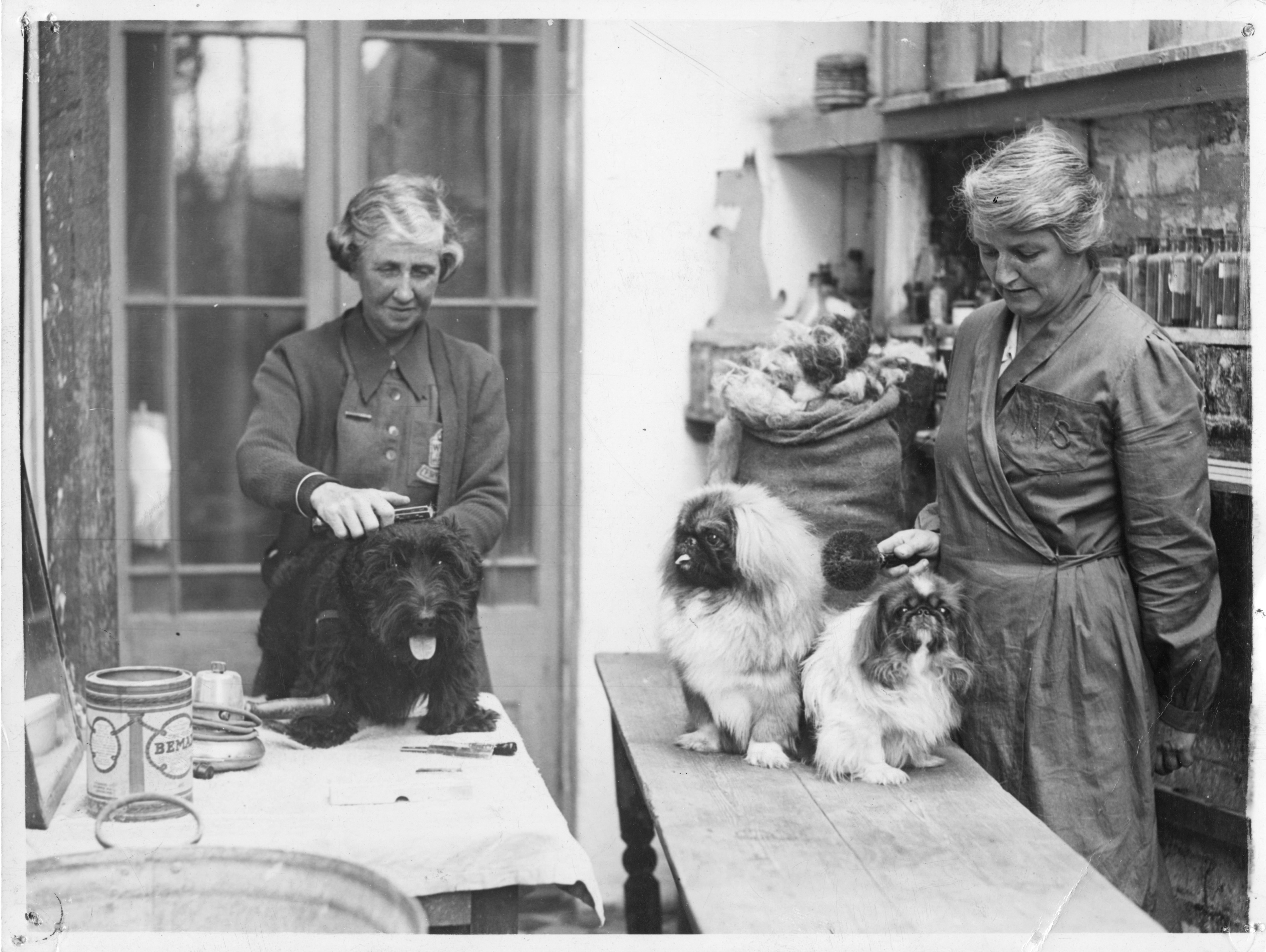 Two members of the WVS groom dogs to make clothing from animal hair during World War Two (Royal Voluntary Society/PA).