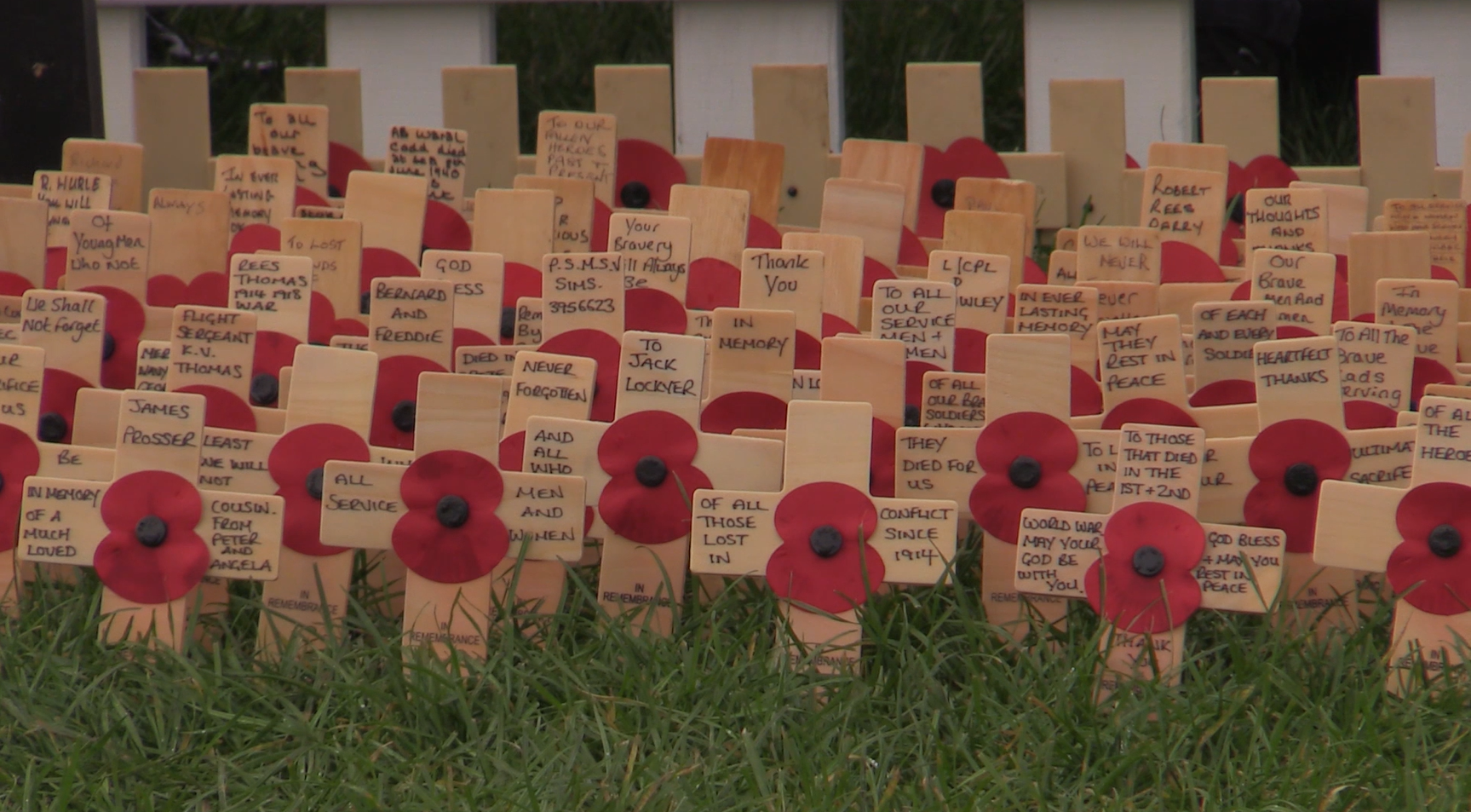 Wooden poppies in the Field of Remembrance at Cardiff Castle (Claire Hayhurst/PA)