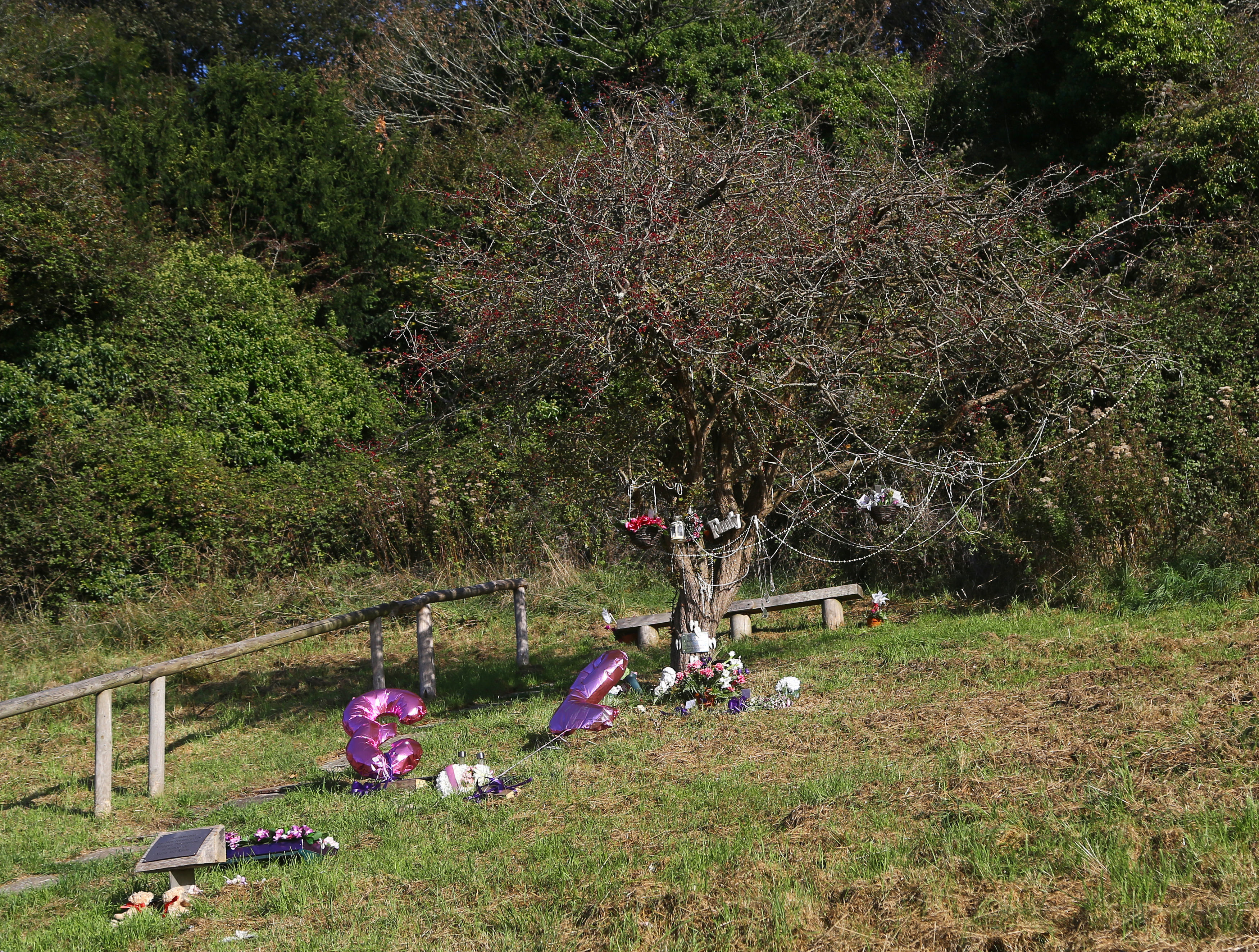 Babes in the Wood memorial tree