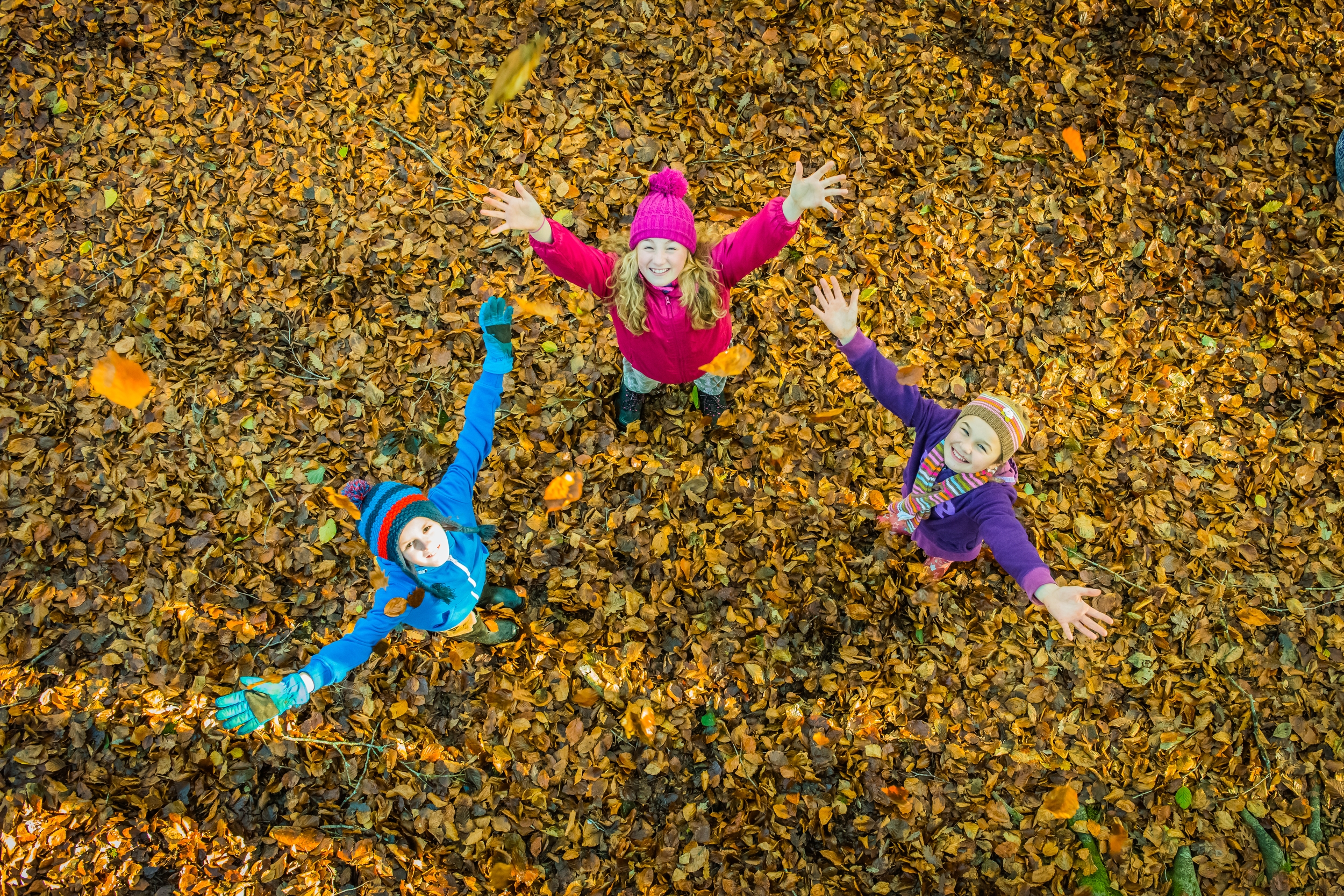 Children in a forest 