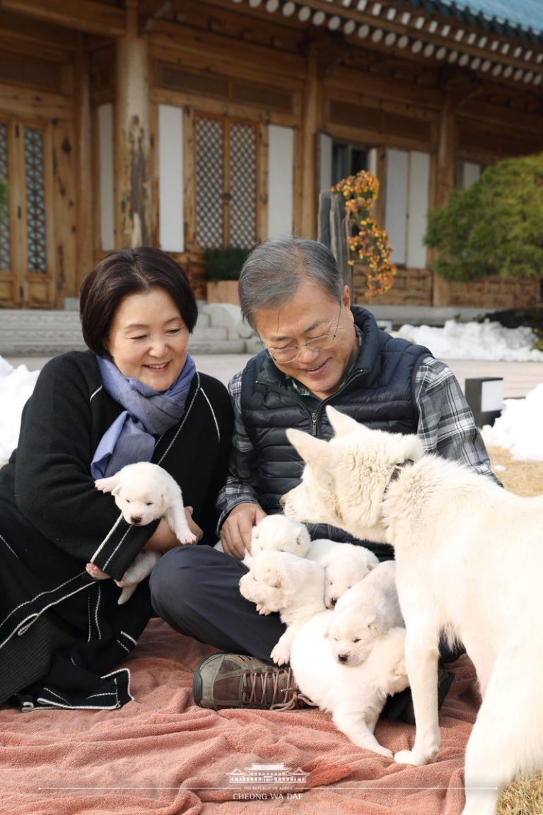 A dog given to South Korea by Kim Jongun has given birth to ‘peace