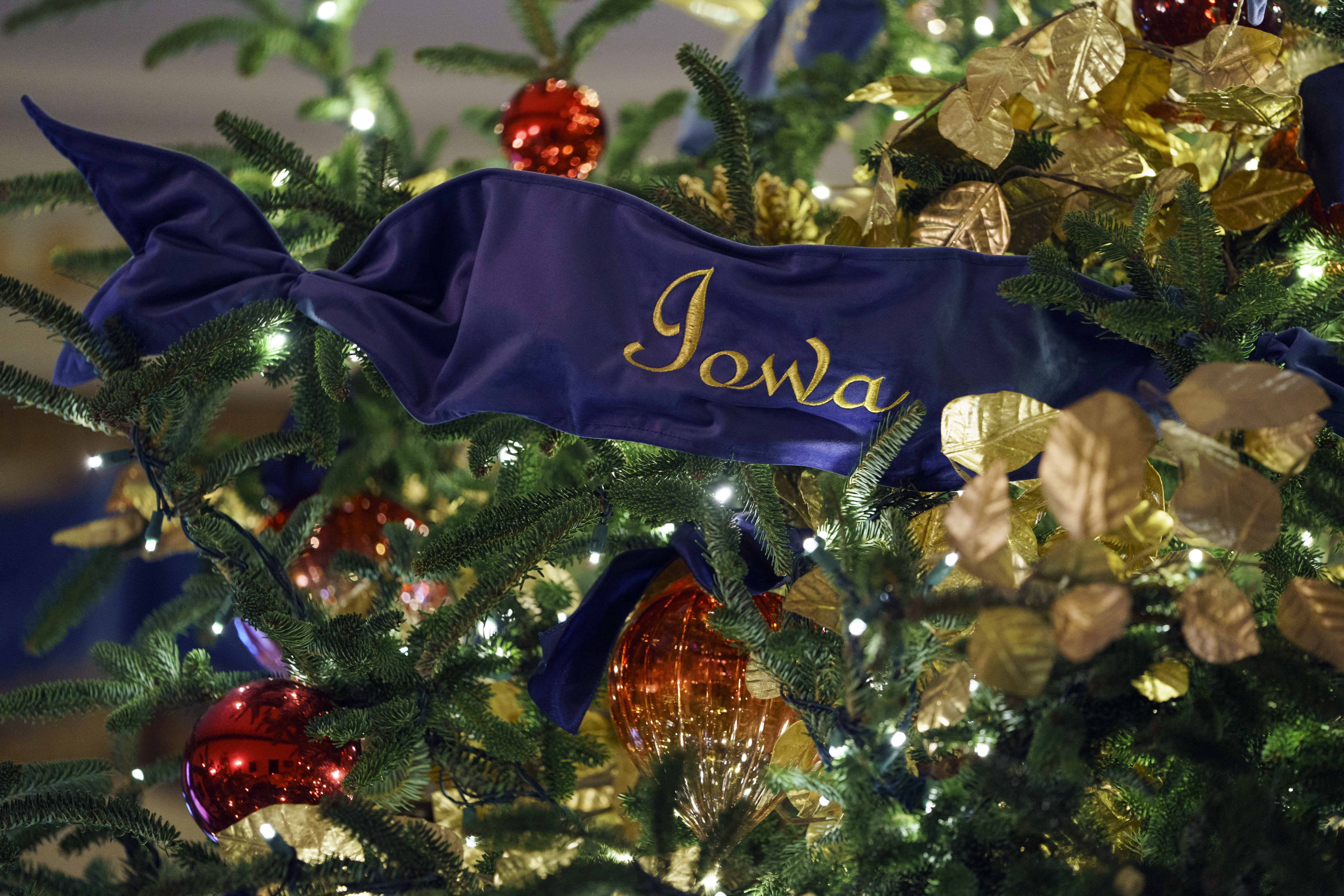 A detail of the official White House Christmas tree is seen in the Blue Room