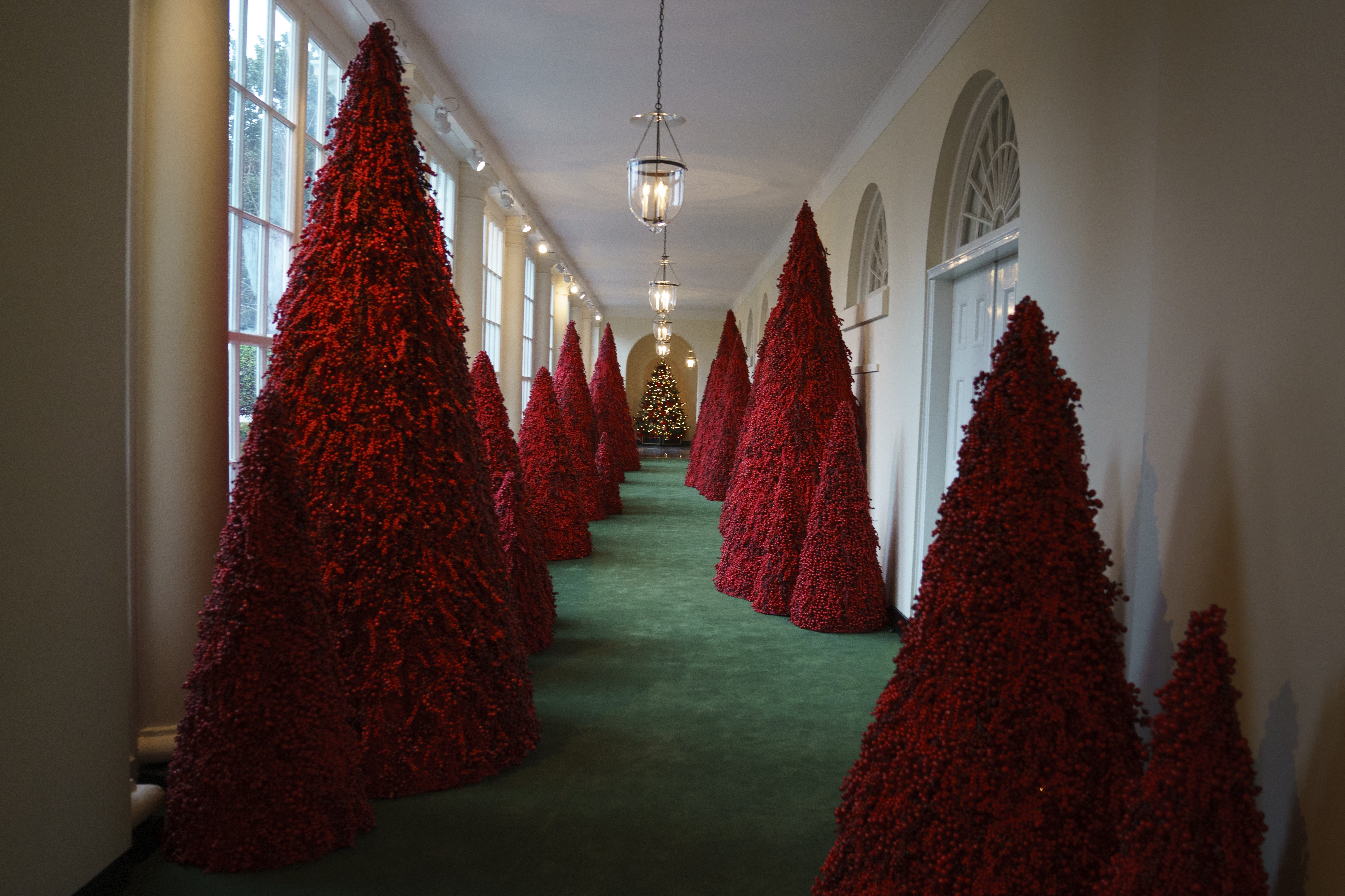 Topiary trees line the East colonnade during the 2018 Christmas press preview at the White House